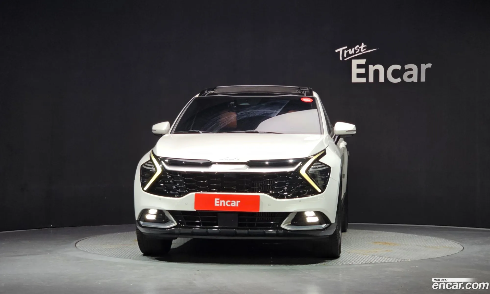 Kia Sportage 2022 KNAPY81BGNK074024 — 2