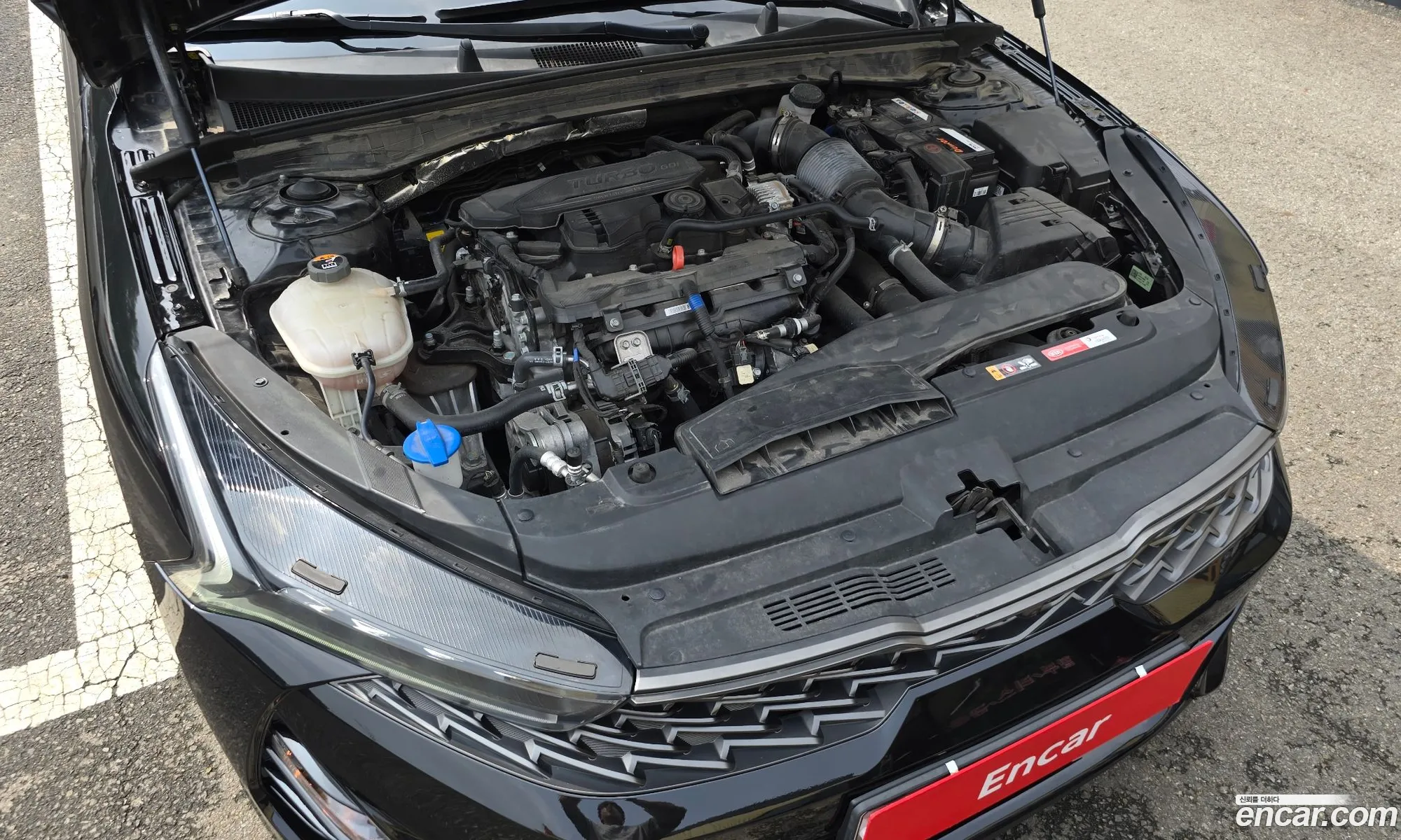 Kia K5 2021 KNAG6412BMA125491 — 12