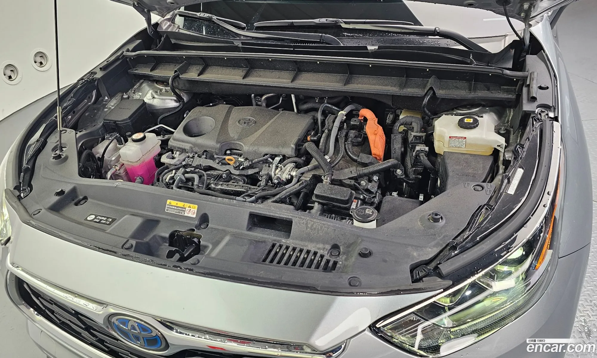 Toyota Highlander 2023 5TDXBRCH5PS132791 — 19