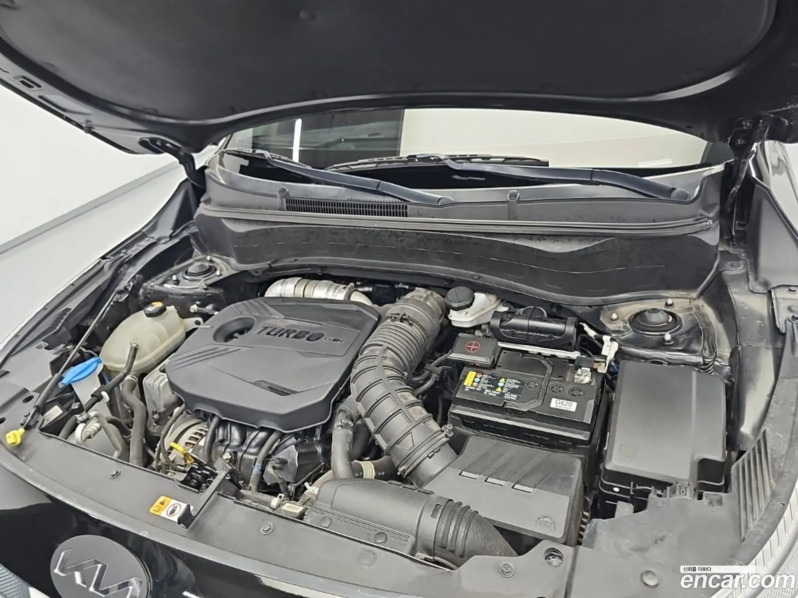 Kia Seltos 2019 — 2