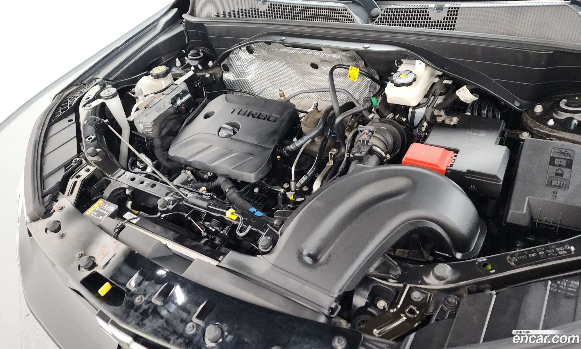 Chevrolet (GM Daewoo) Trailblazer 2023 — 35