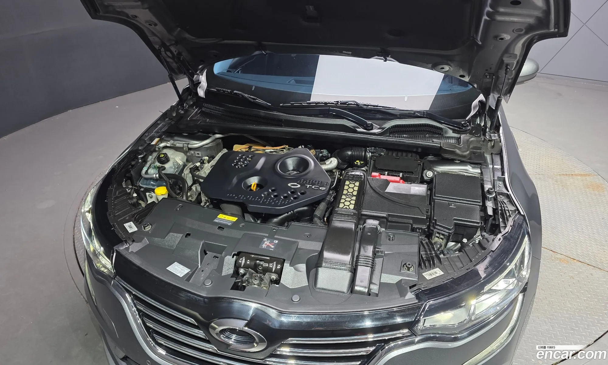 Renault Korea (Samsung) SM6 2018 — 25