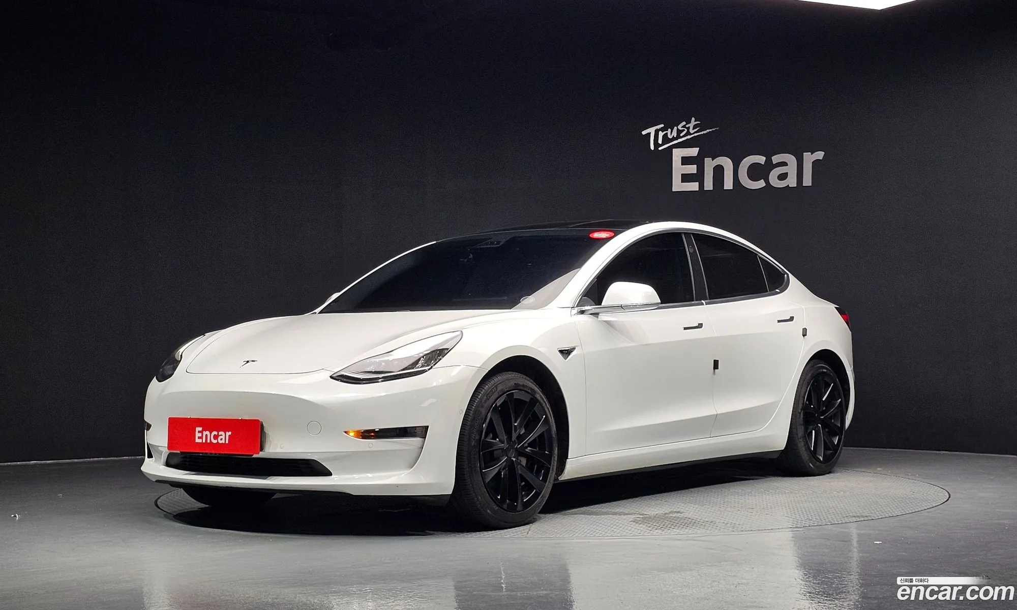Tesla Model 3 2020 5YJ3E1EA4LF694395 — 13