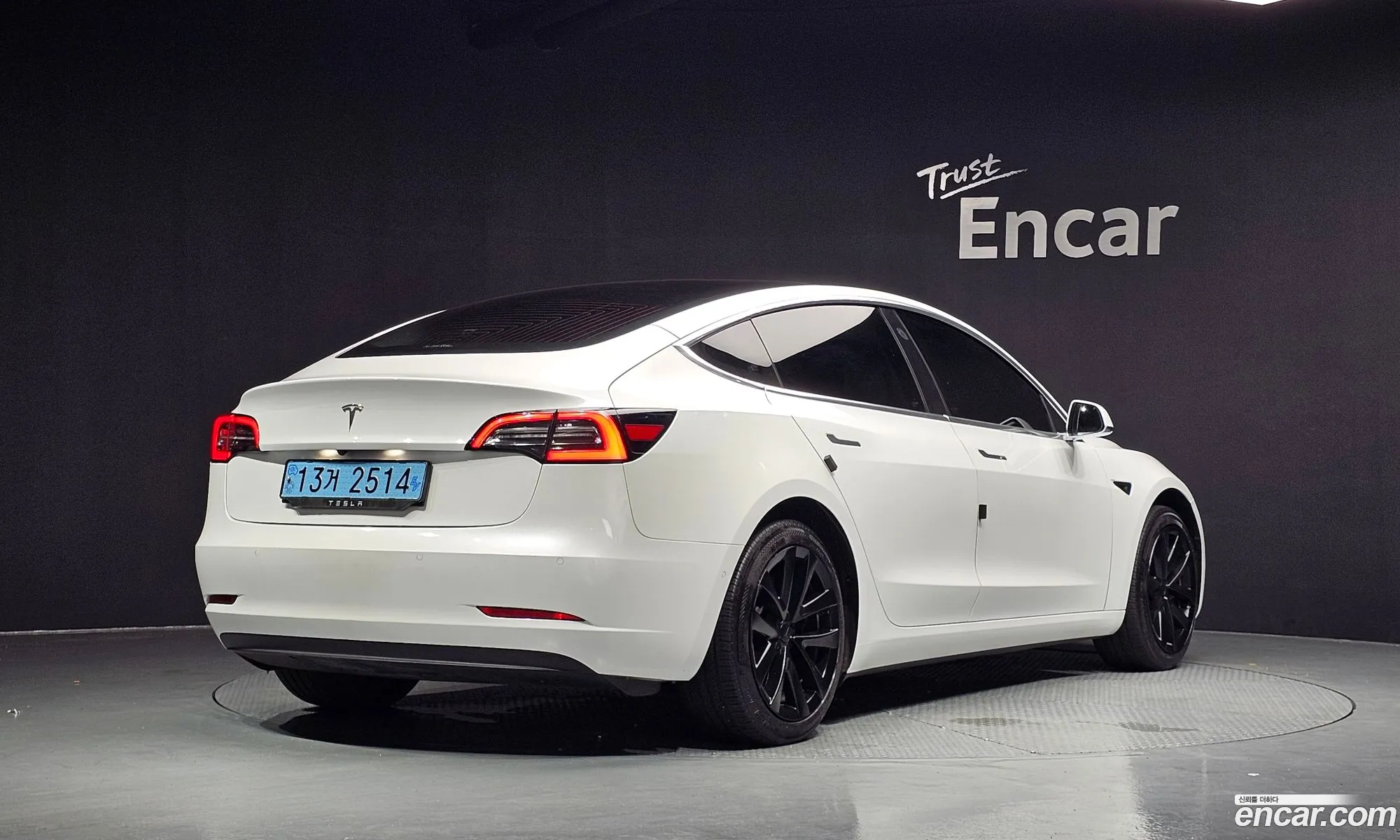 Tesla Model 3 2020 5YJ3E1EA4LF694395 — 11