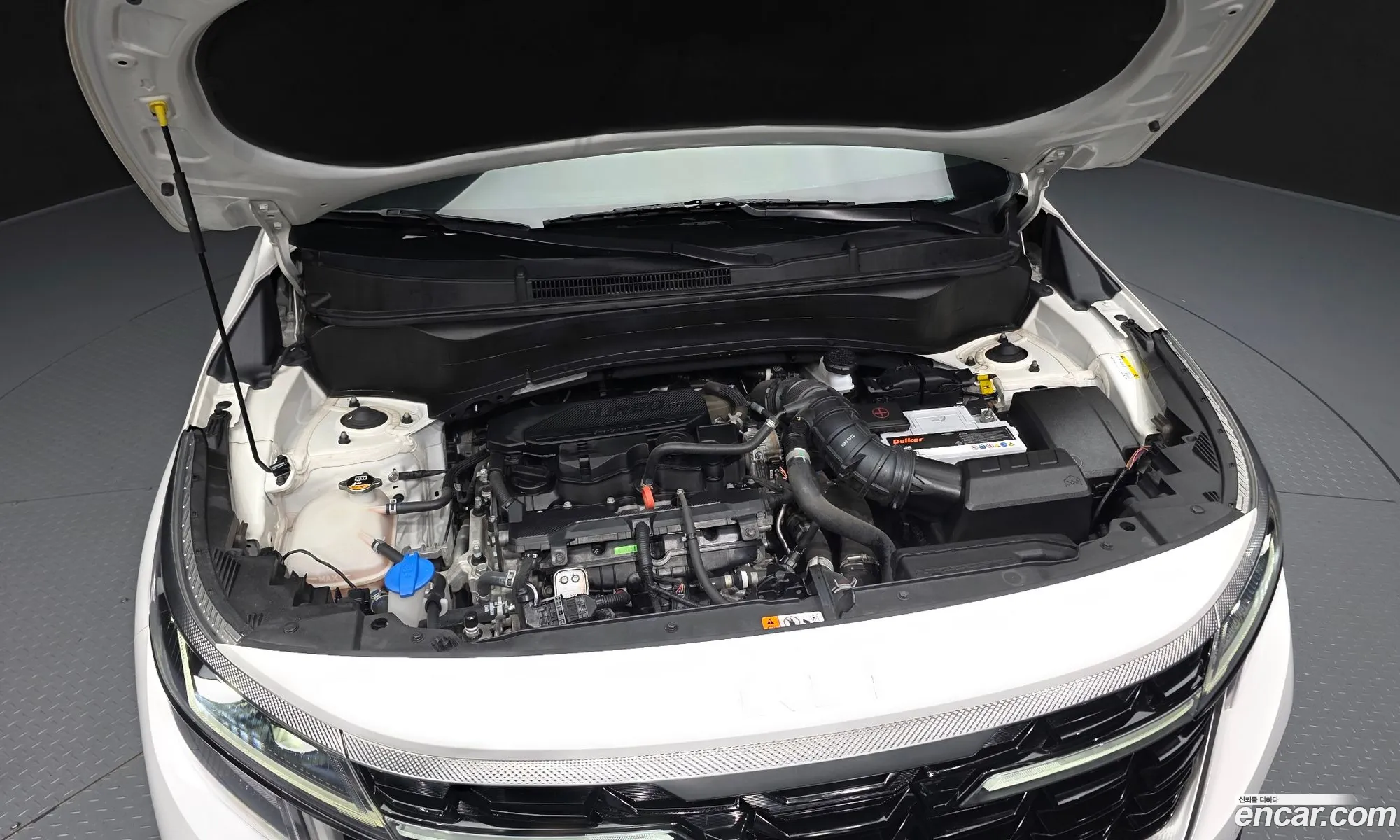 Kia Seltos 2023 KNAET817BRK560973 — 23