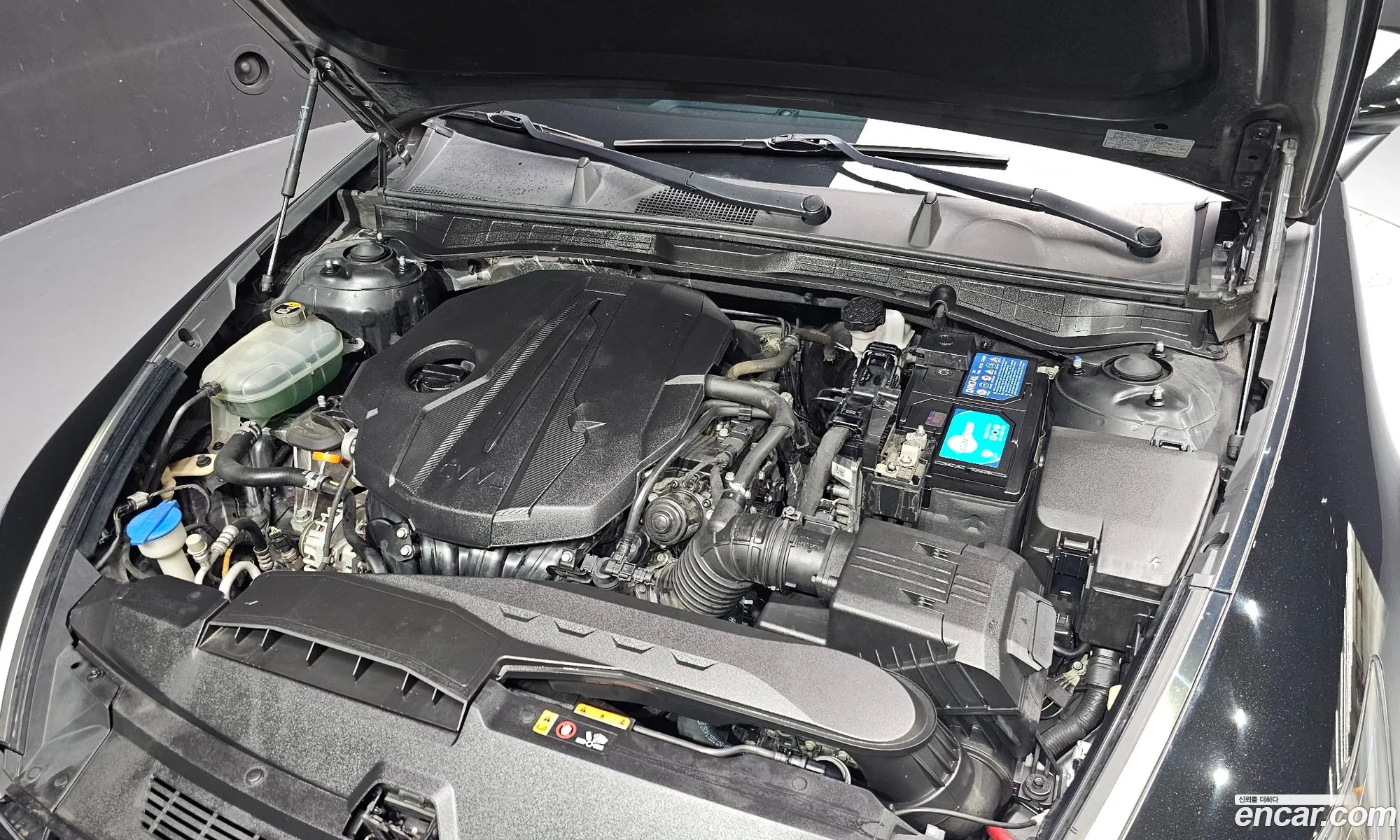 Hyundai Sonata 2019 KMHL141EBLA020877 — 2
