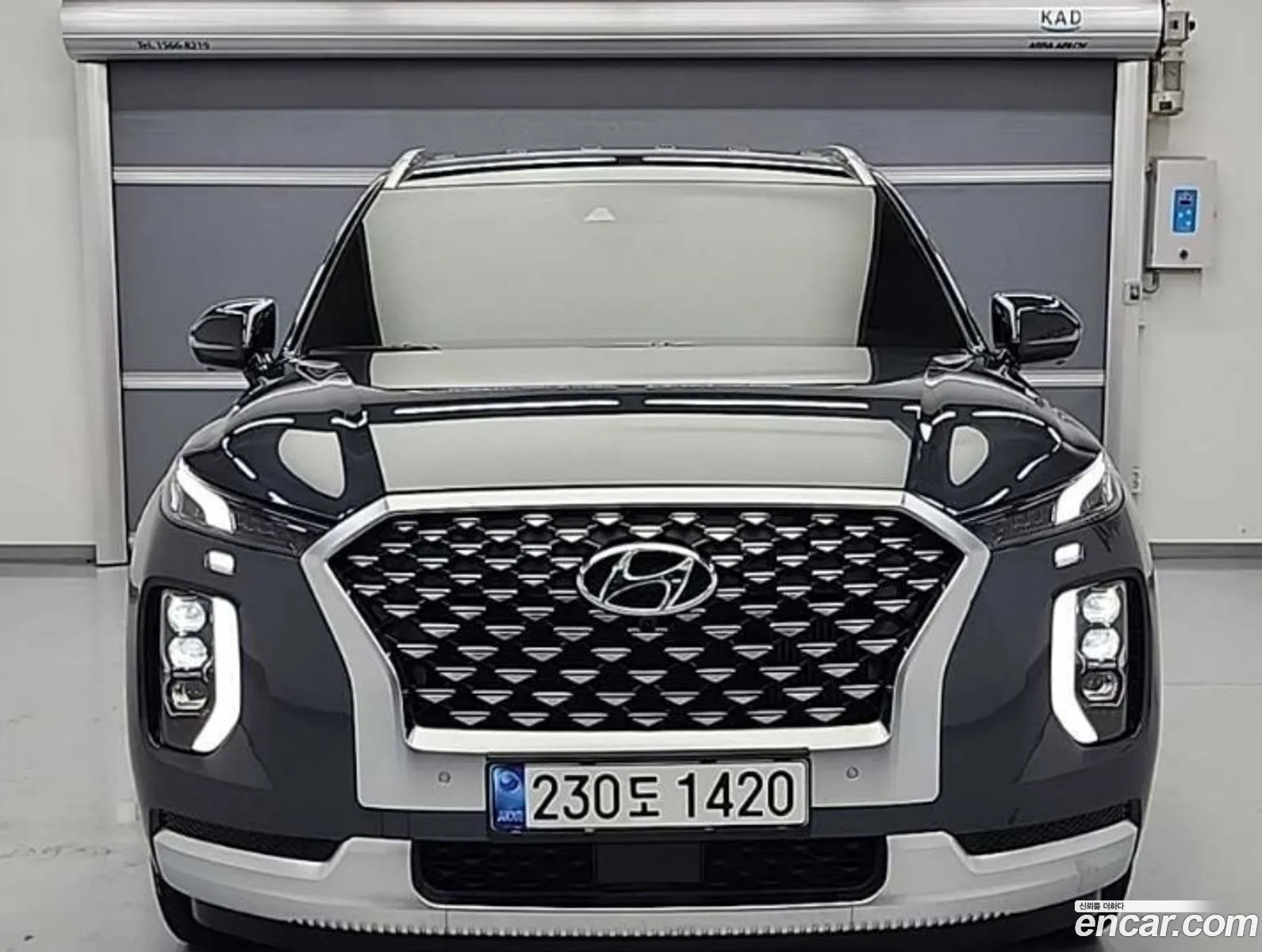 Hyundai Palisade 2020 — 17
