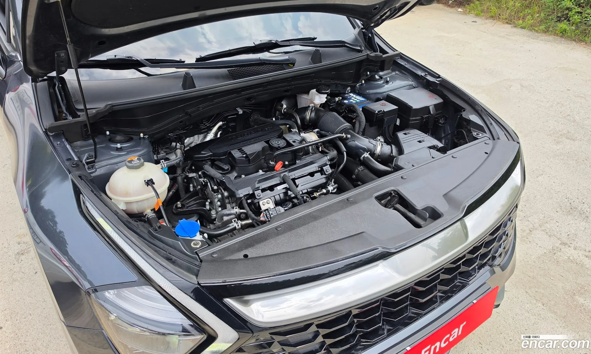 Kia Sportage 2021 KNAPY81BGNK025742 — 12