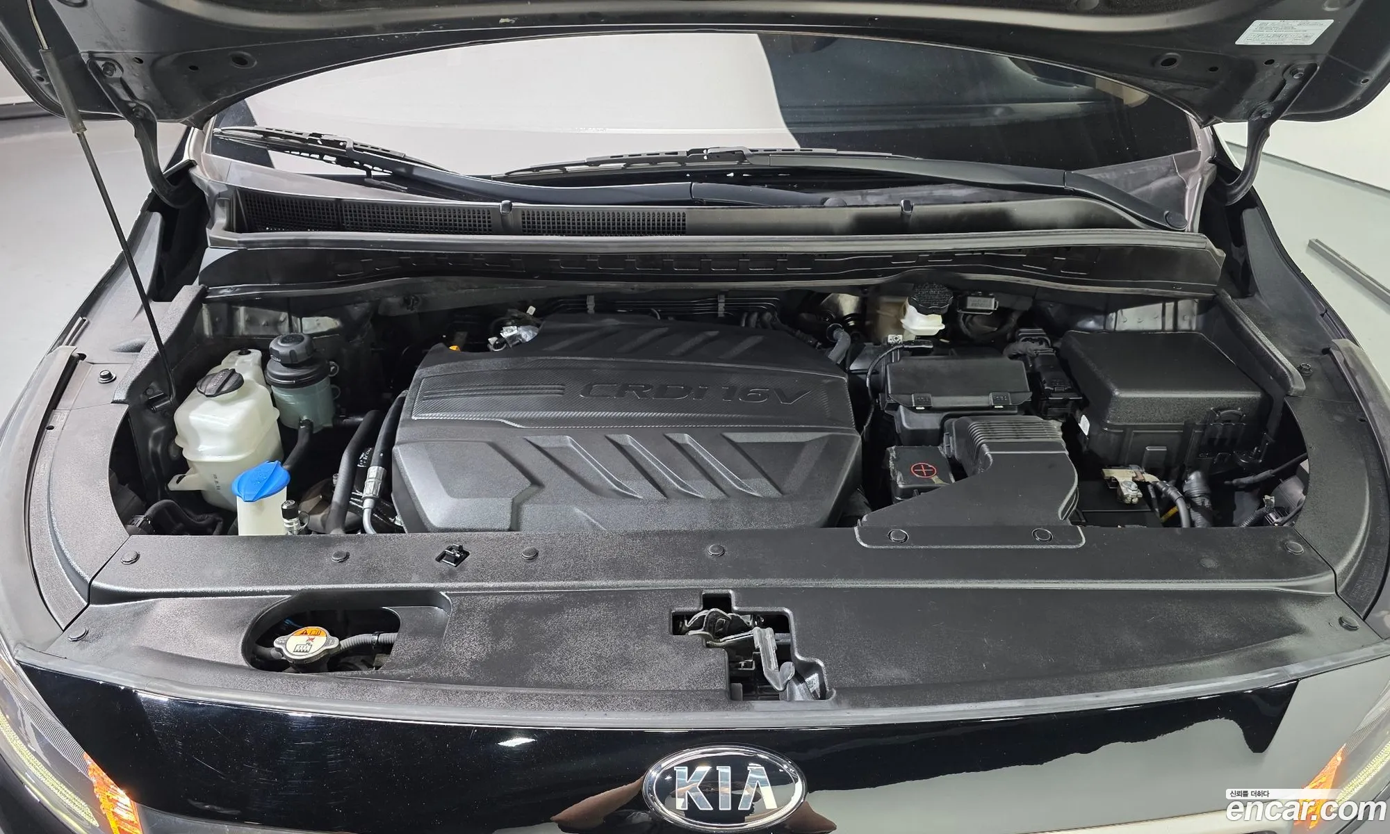 Kia Carnival 2019 — 12