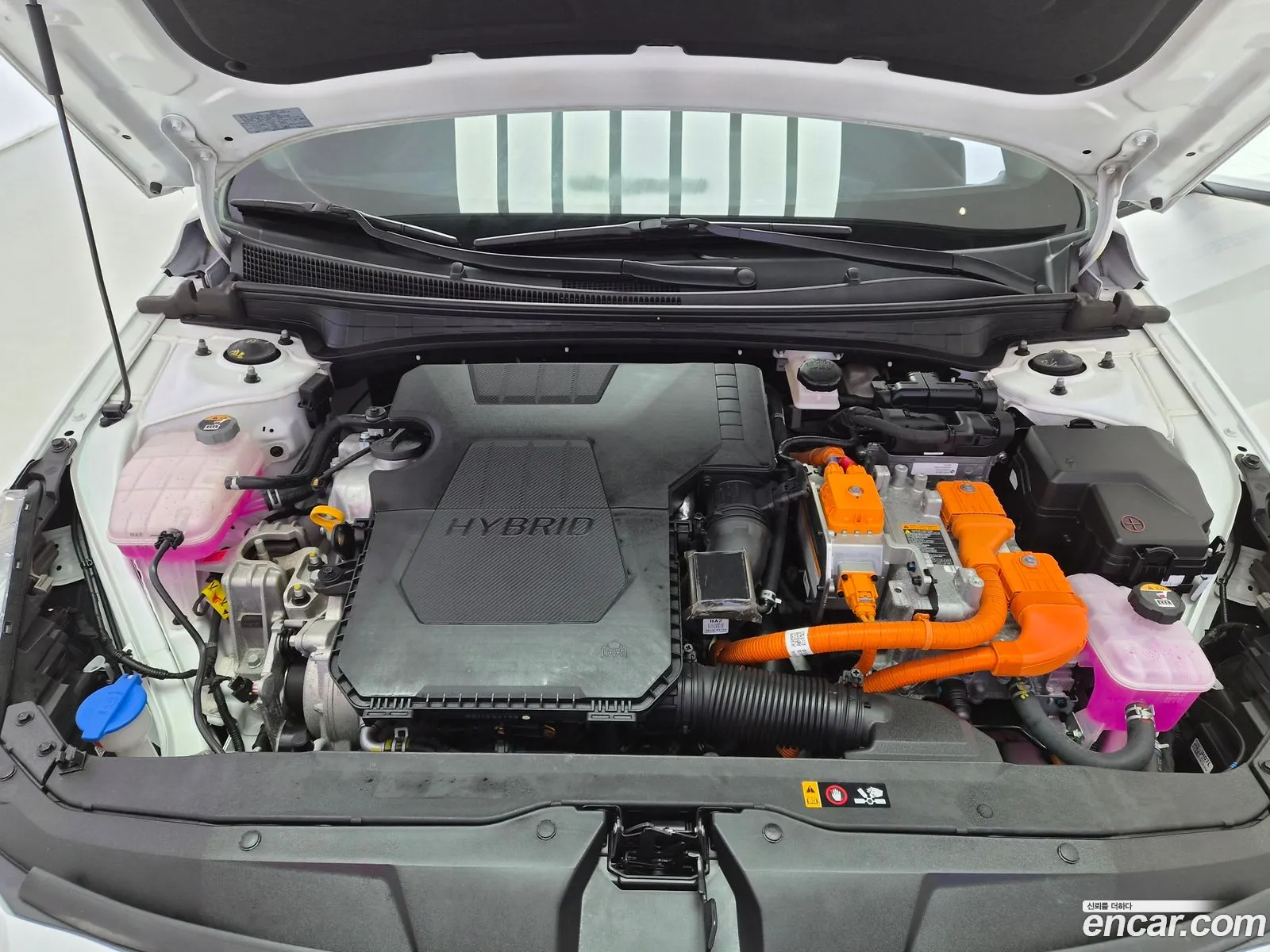 Hyundai Elantra Hybrid