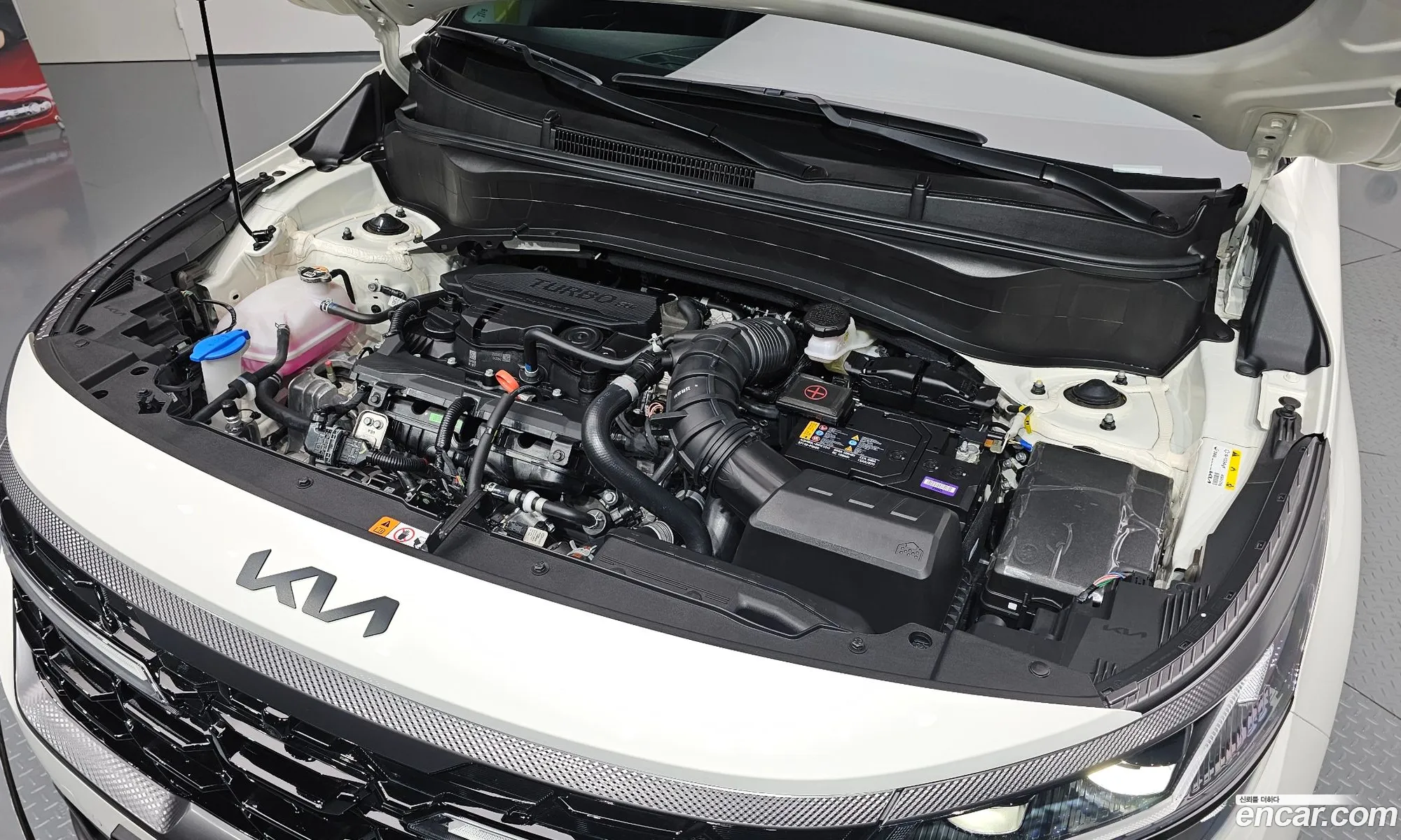 Kia Seltos 2025 KNAET817DTK899802 — 2