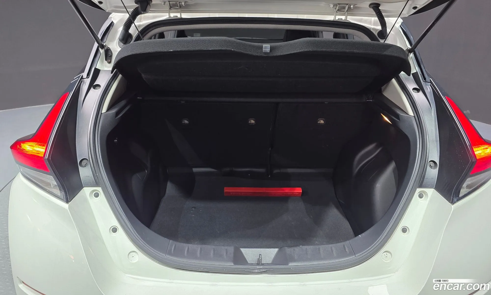 Nissan Leaf 2019 1N4AZ1CP4KC307493 — 27