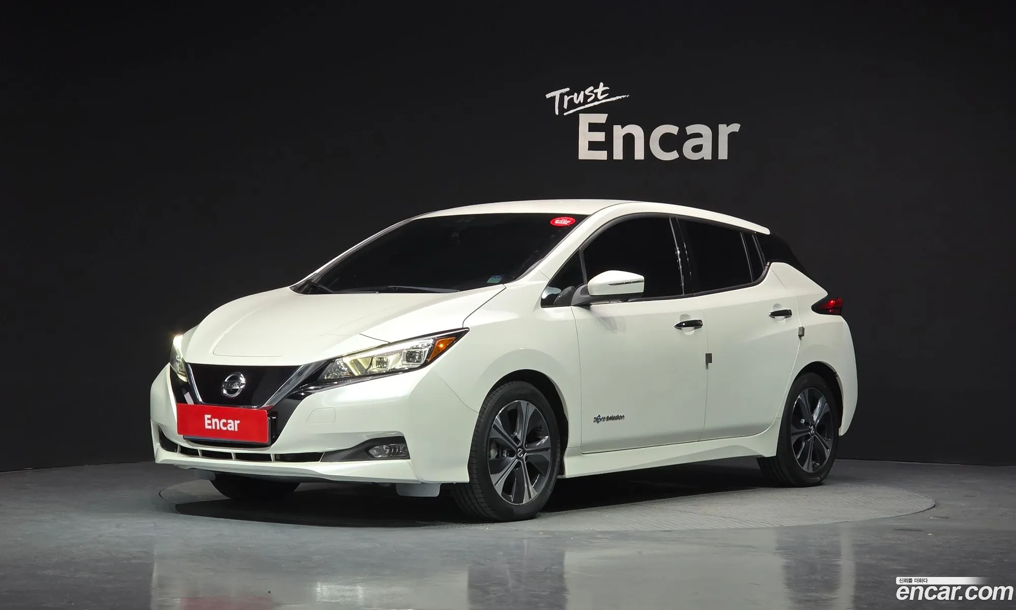 Nissan Leaf 2019 1N4AZ1CP4KC307493 — 29