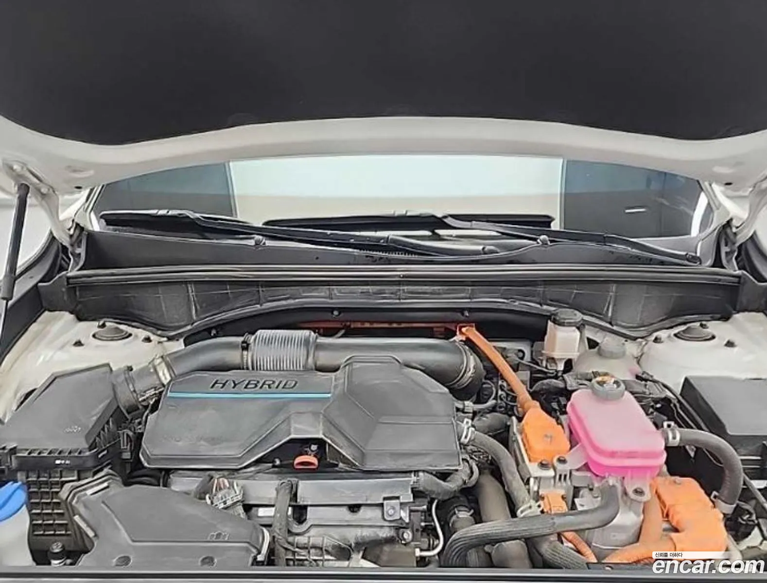 Kia Sorento 2022 — 2