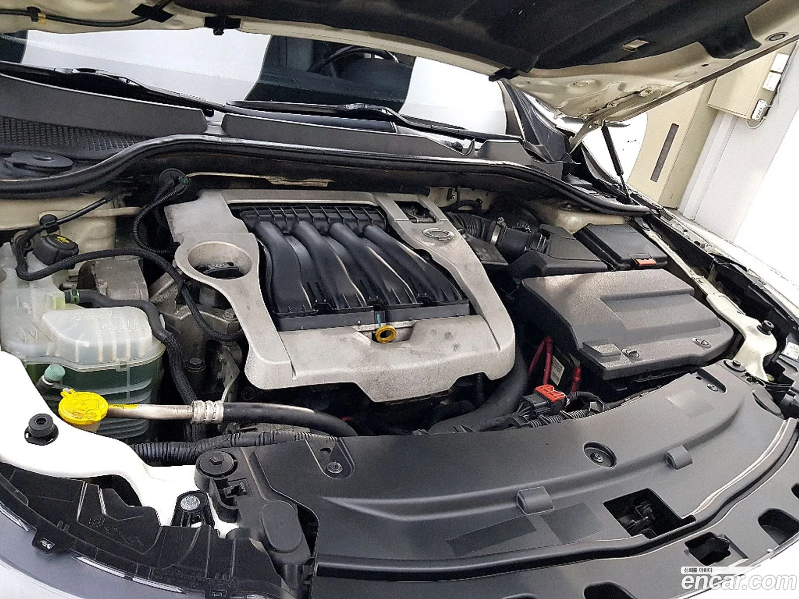 Renault Korea (Samsung) SM5 2011 — 18