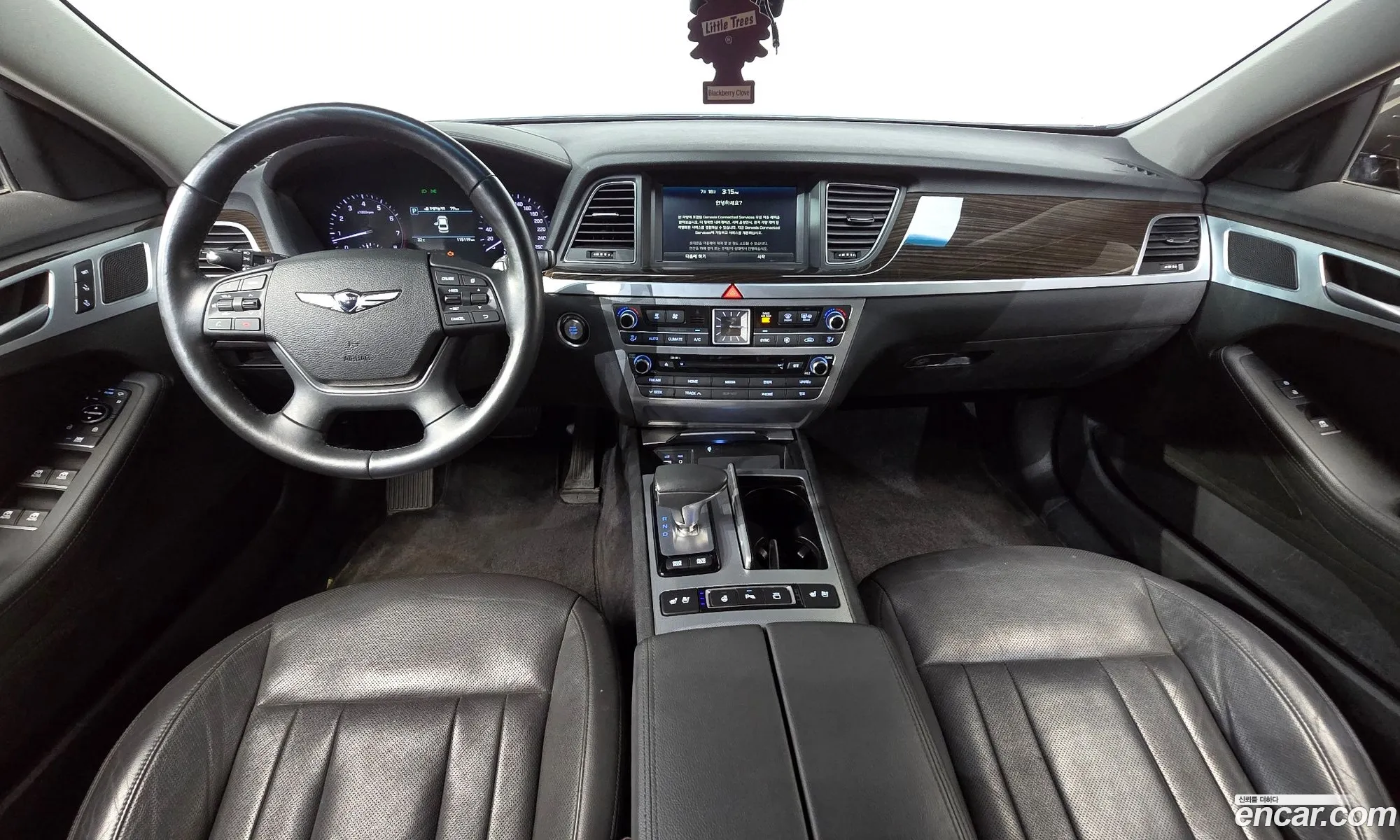Genesis G80 2017 KMHGL41DDJU259845 — 14