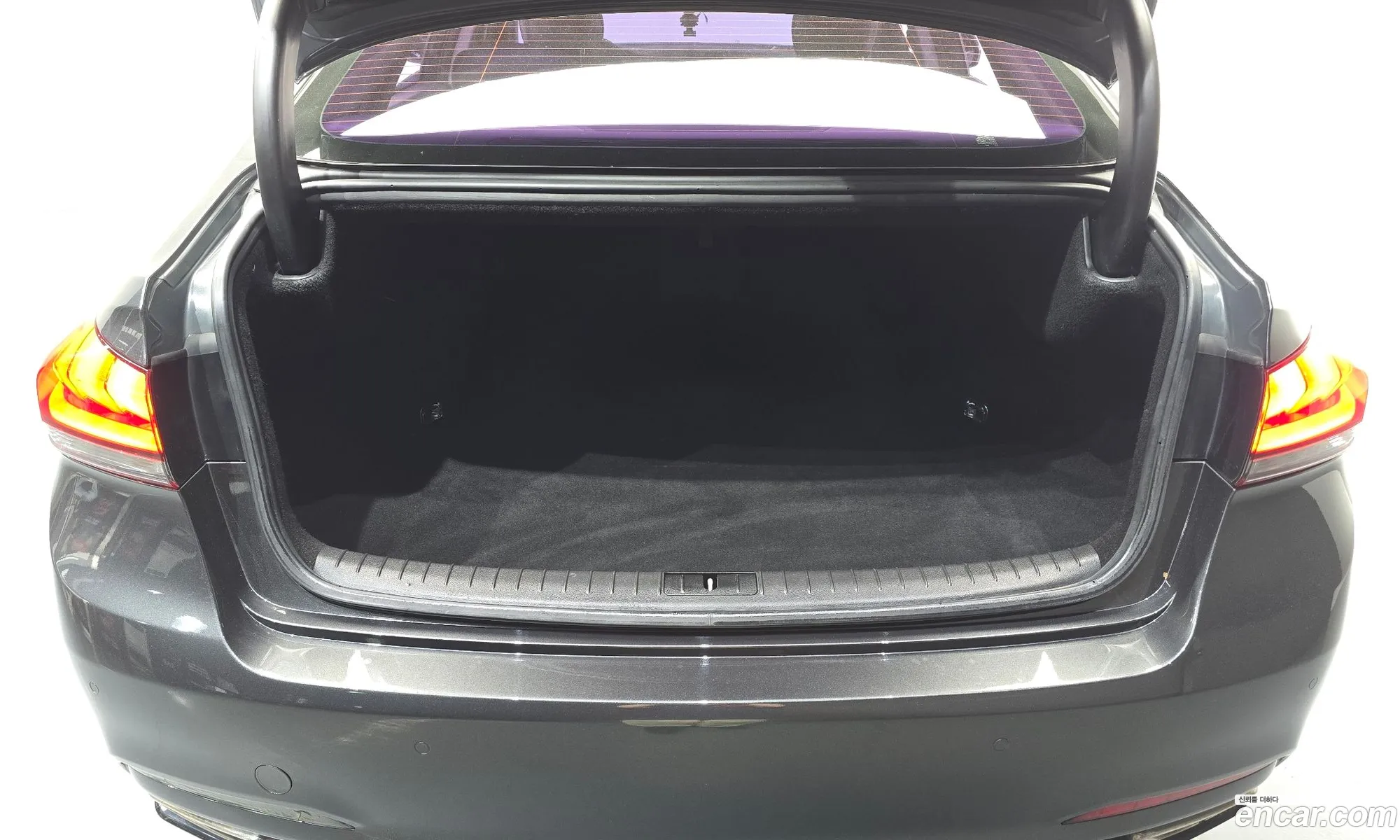 Genesis G80 2017 KMHGL41DDJU259845 — 23