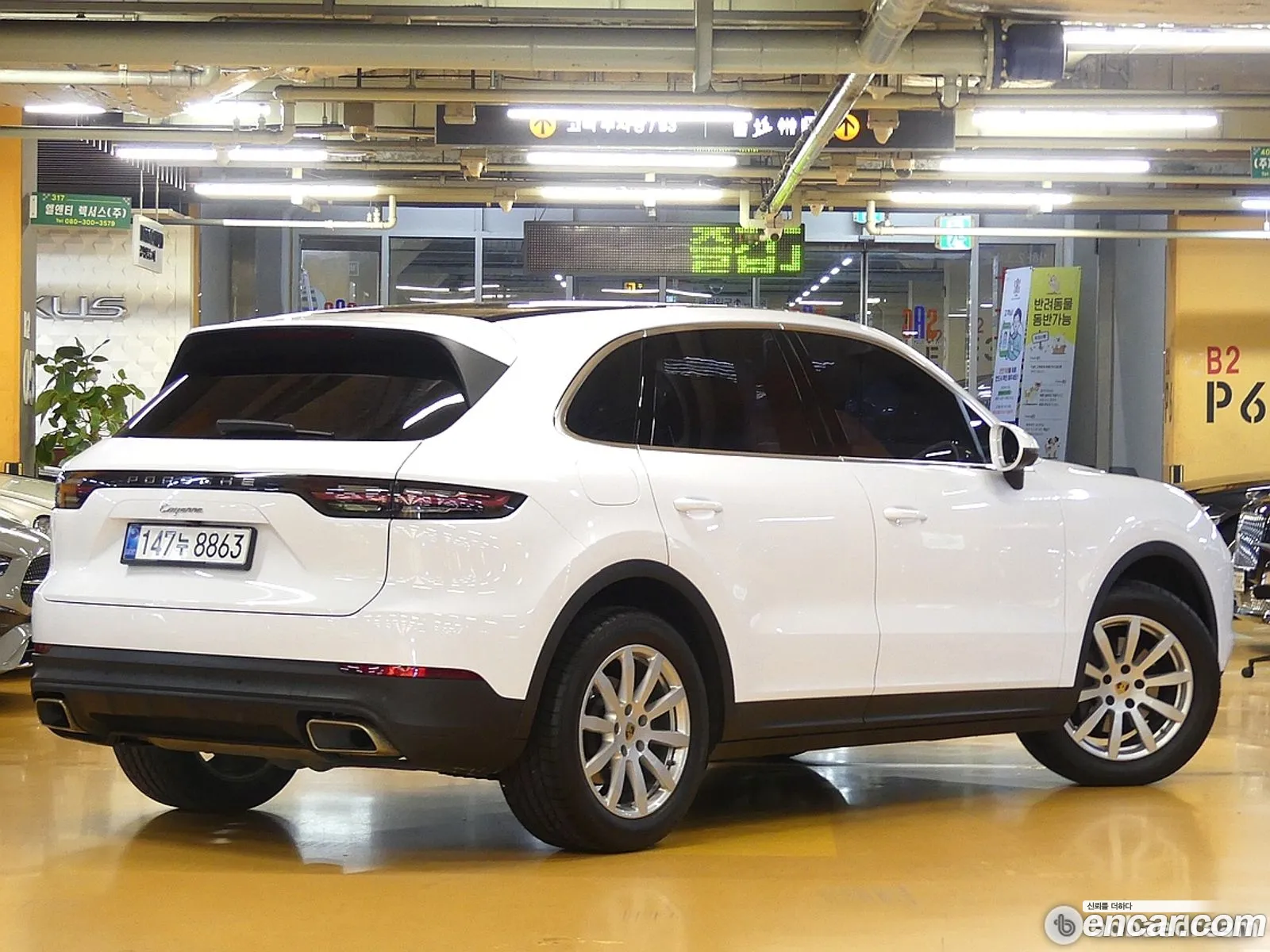 Porsche Cayenne 2019 — 13