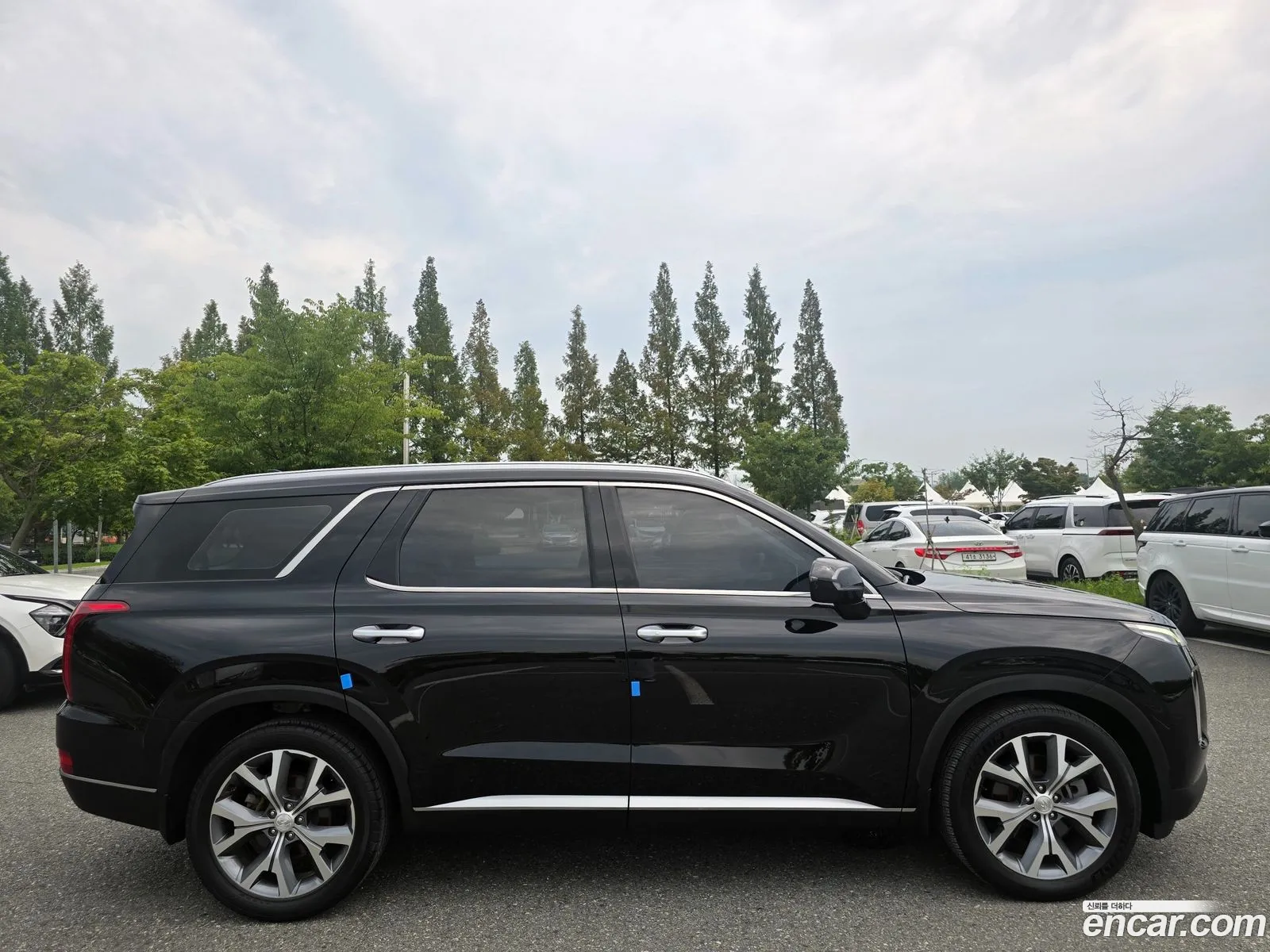 Hyundai Palisade 2019 — 12
