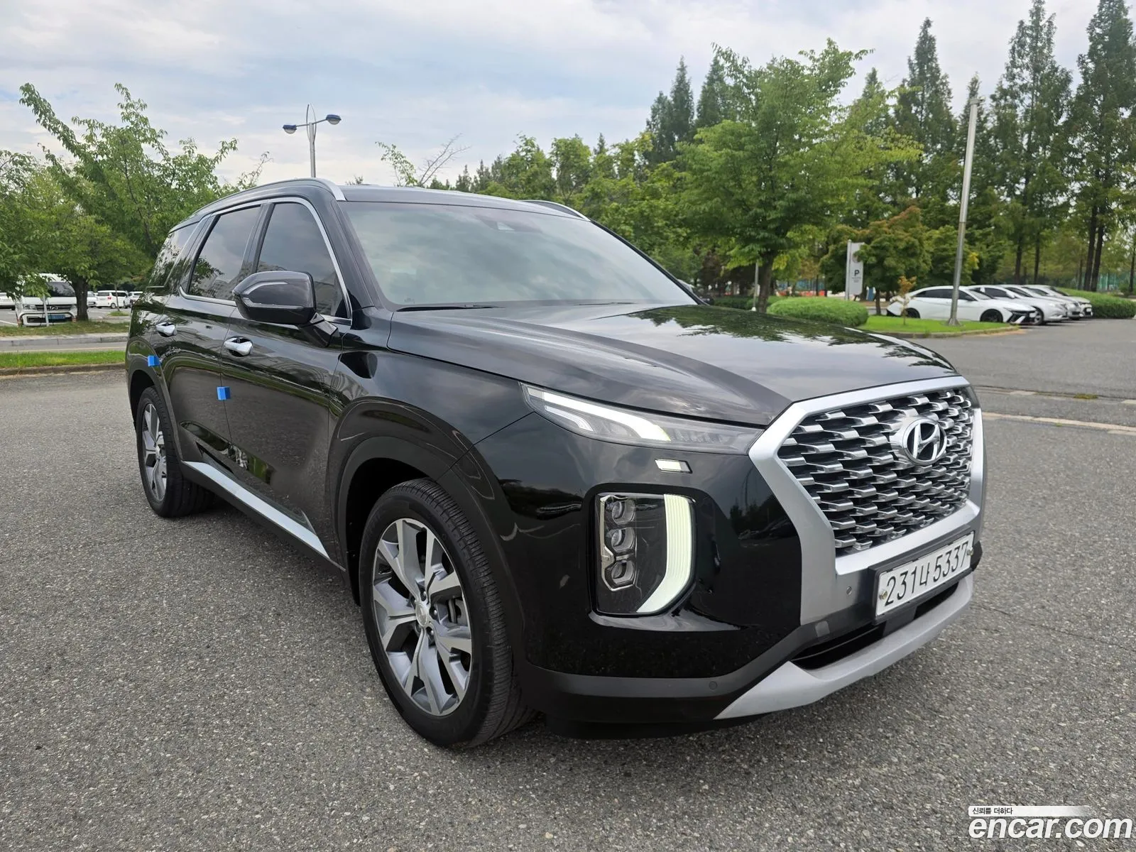 Hyundai Palisade 2019 — 18