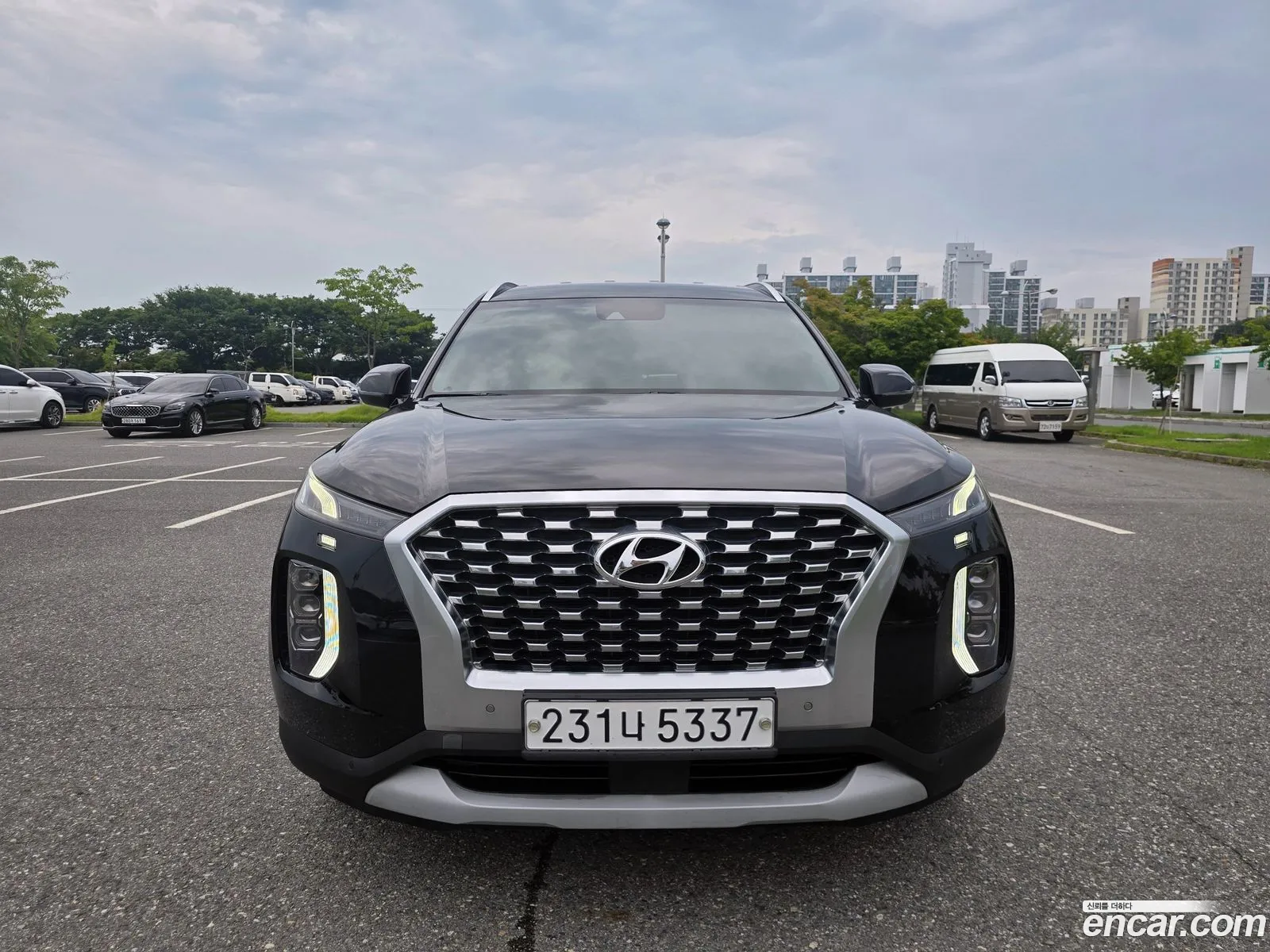 Hyundai Palisade 2019 — 14