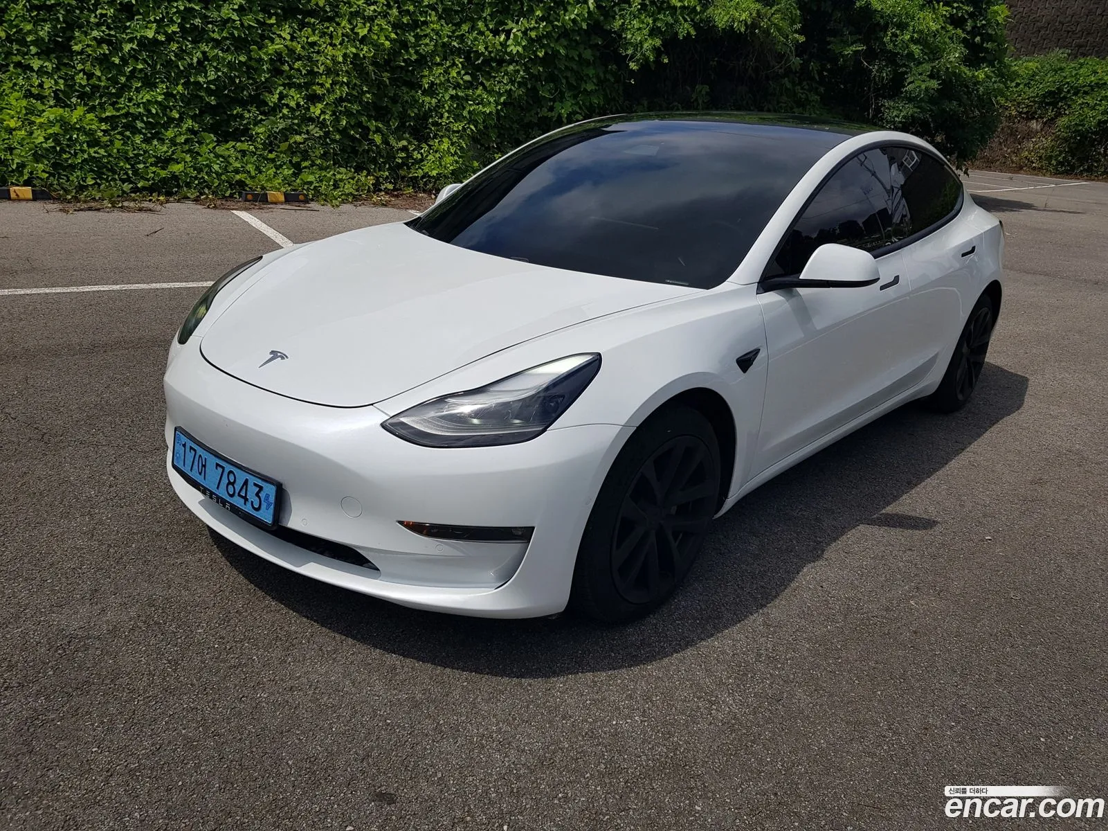 Tesla Model 3 2021 — 3