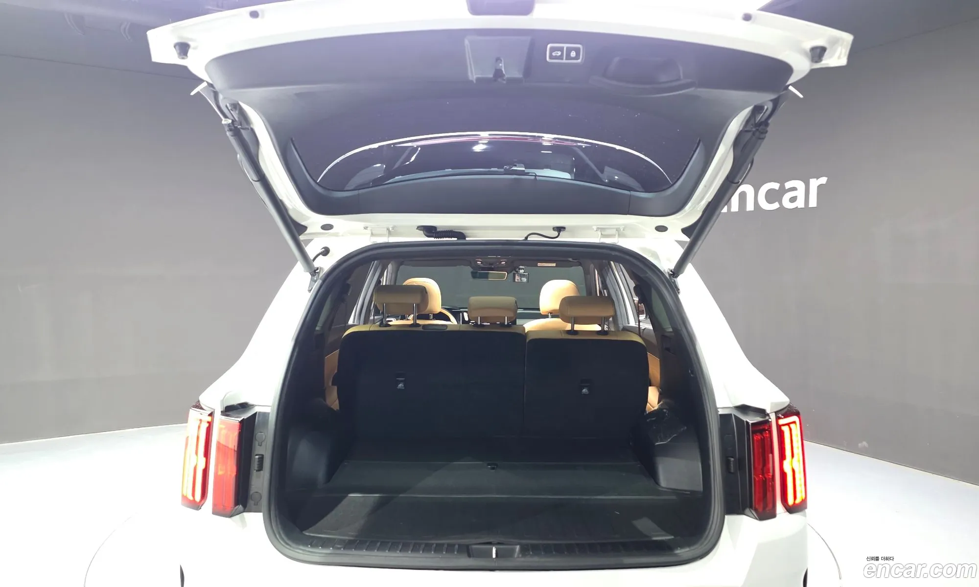Kia Sorento 2022 KNARF81FGNA157478 — 12