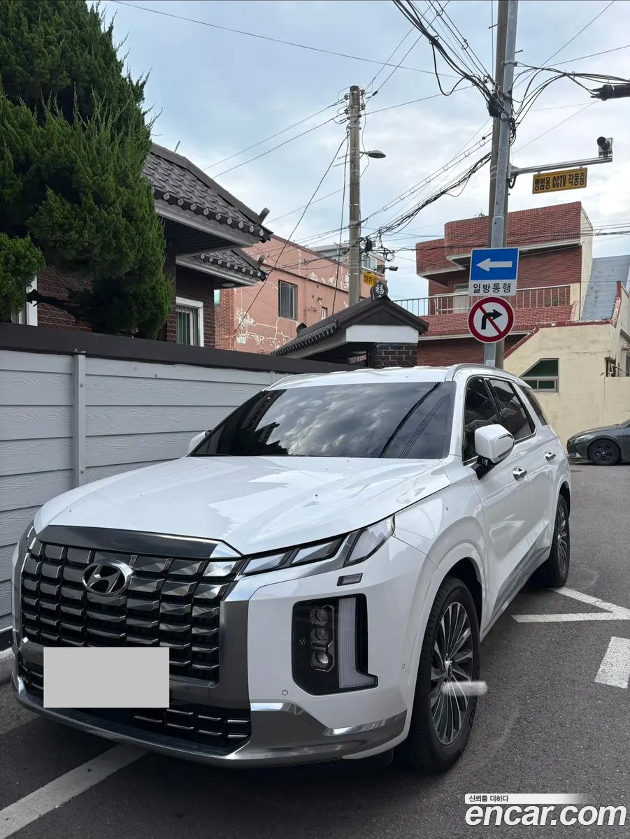 Hyundai Palisade 2024 — 10