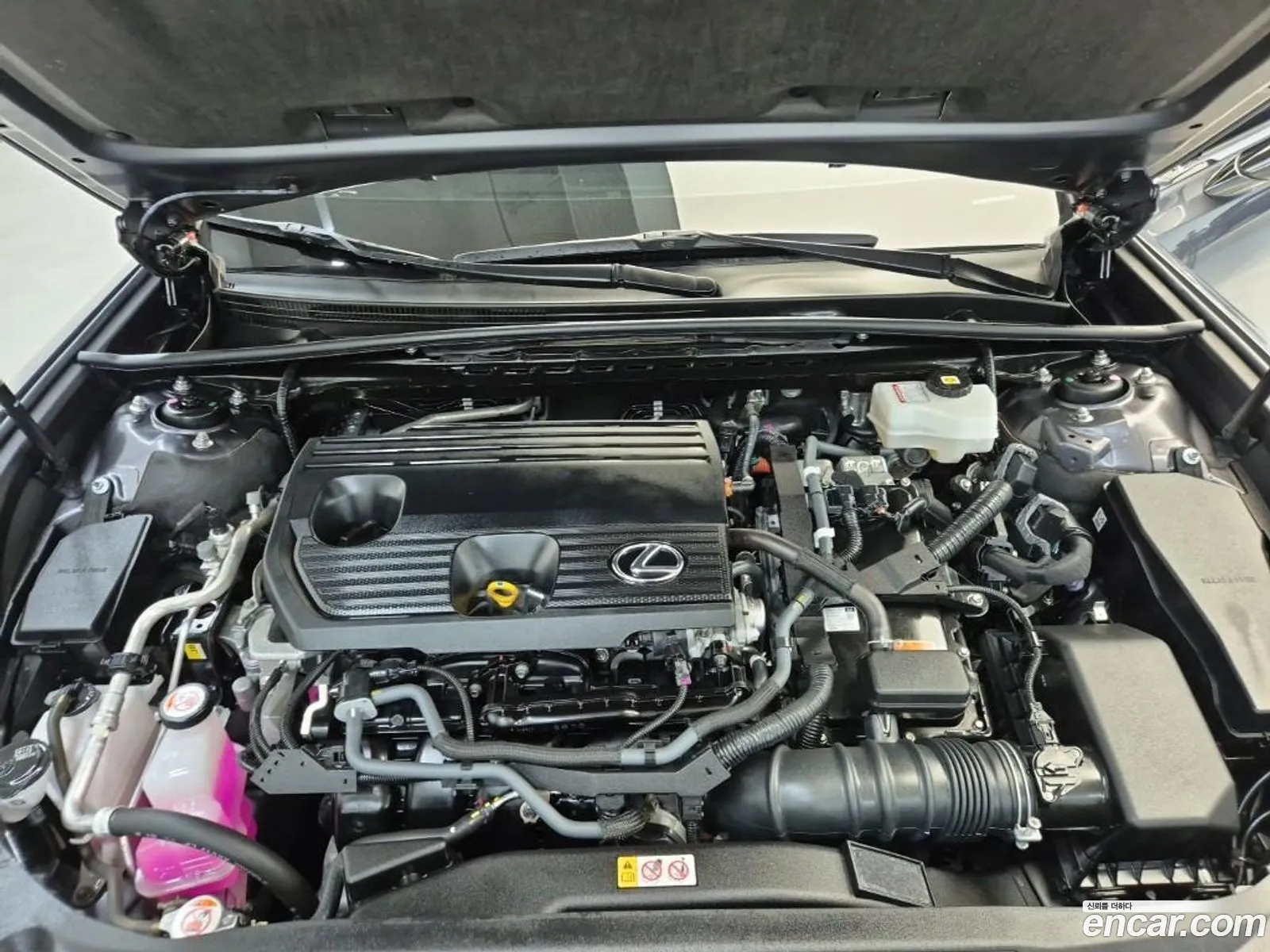 Lexus ES300h 7th Gen 2024 — 2
