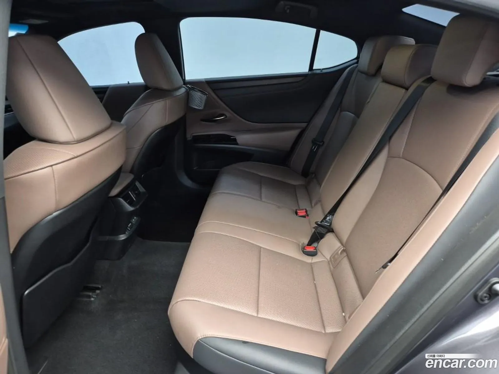 Lexus ES300h 7th Gen 2024 — 14