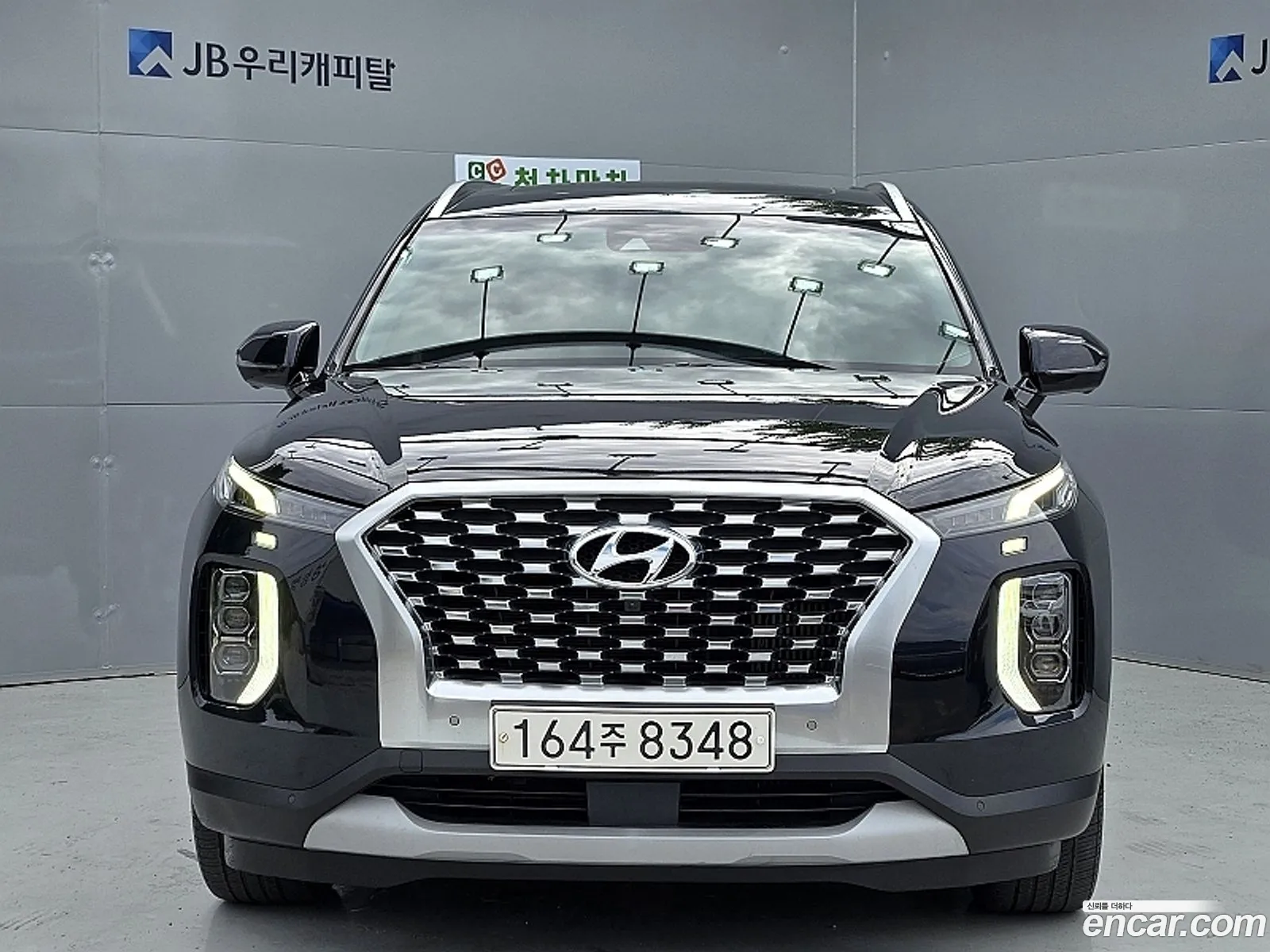 Hyundai Palisade 2019 — 18