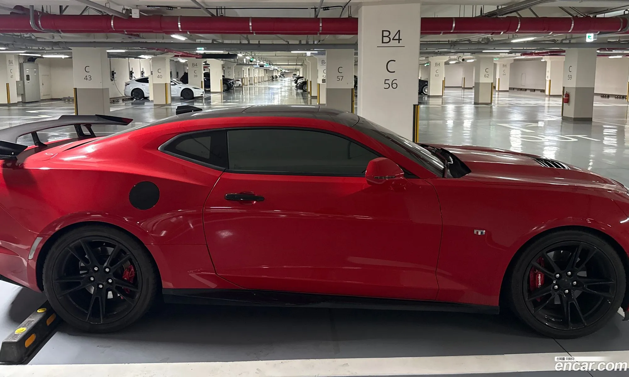 Chevrolet (GM Daewoo) Camaro