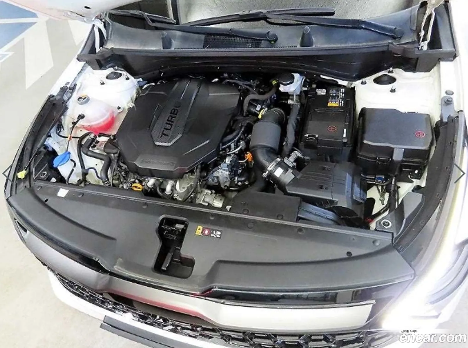 Kia Sportage 2022 — 12
