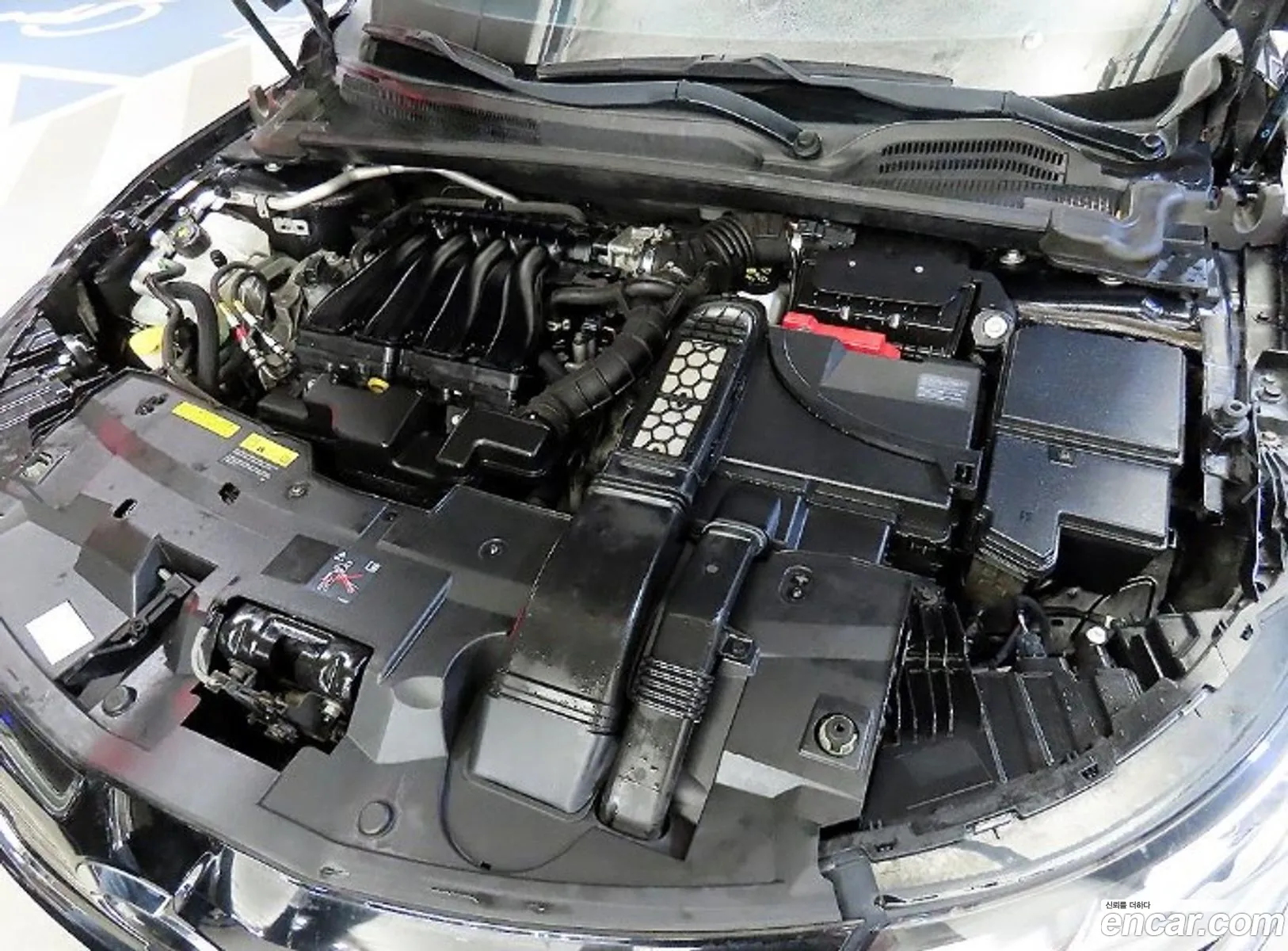 Renault Korea (Samsung) SM6 2017 — 13