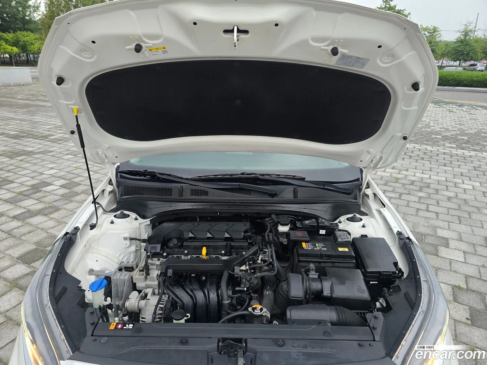 Kia K3 2022 — 2