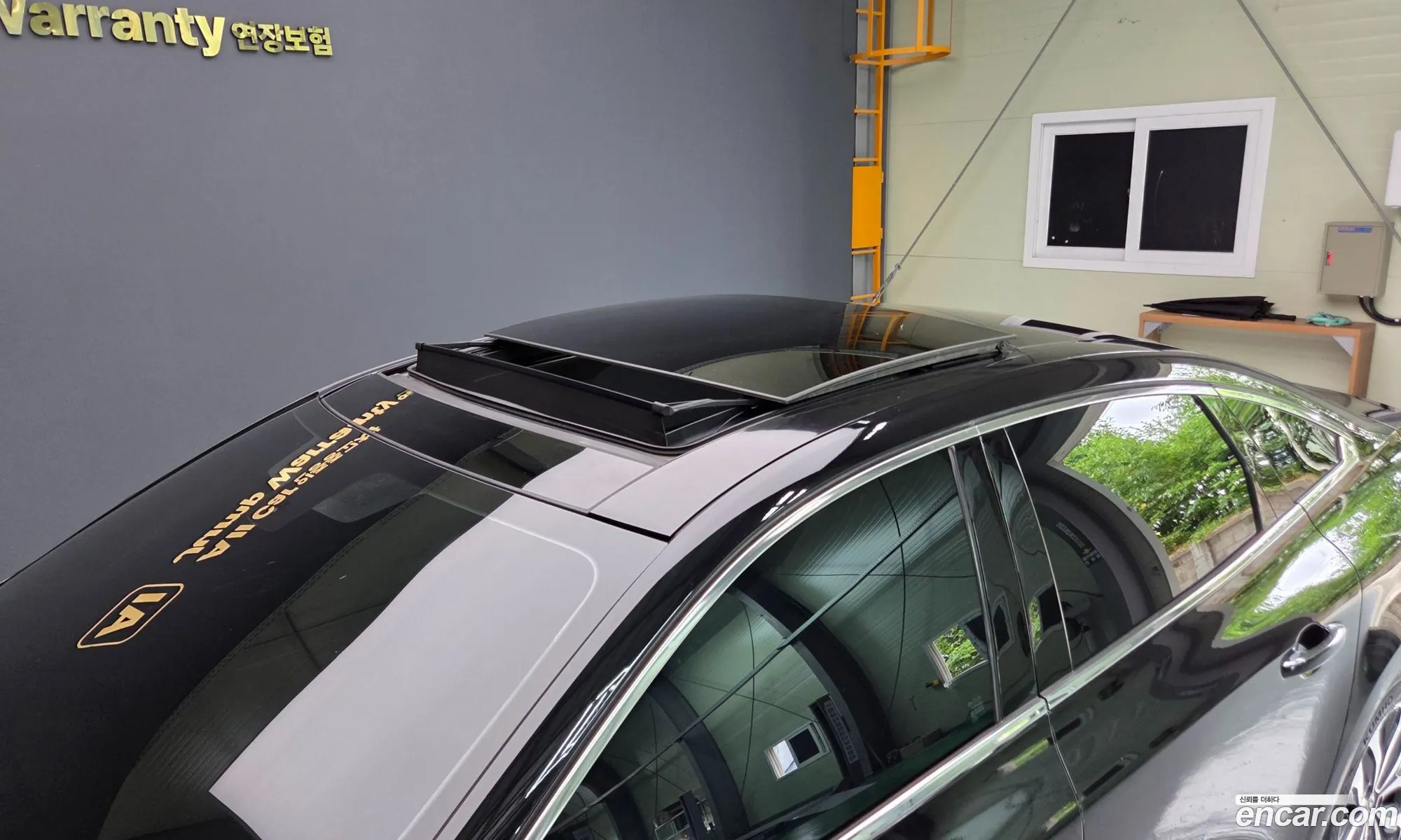 Renault Korea (Samsung) SM6 2016 — 18