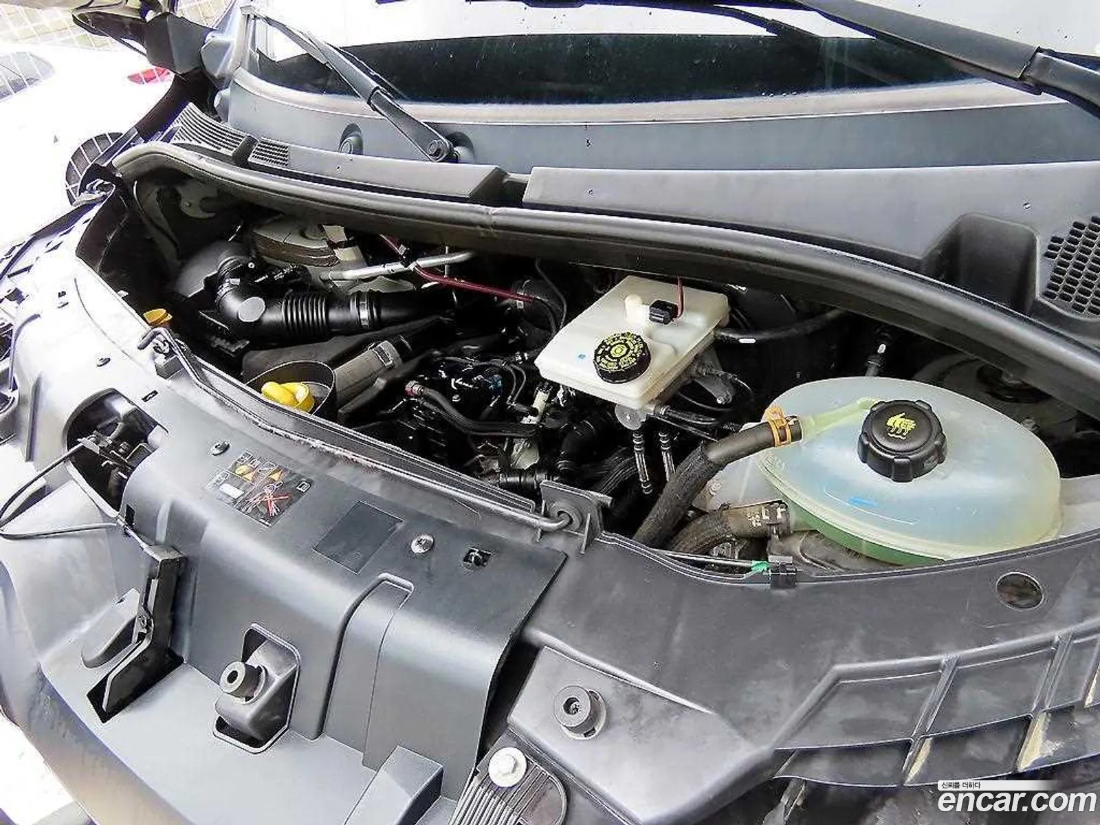 Renault Korea (Samsung) Master 2020 — 4