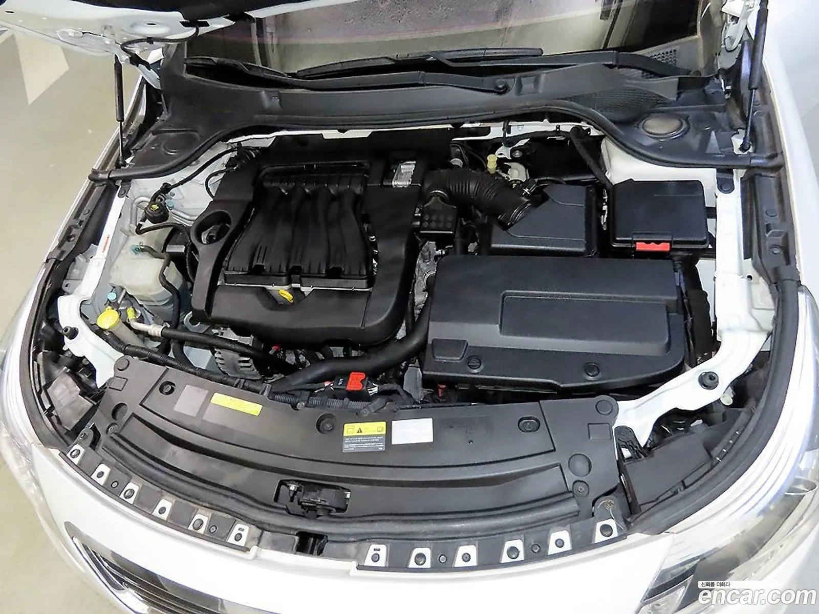 Renault Korea (Samsung) SM5 Platinum