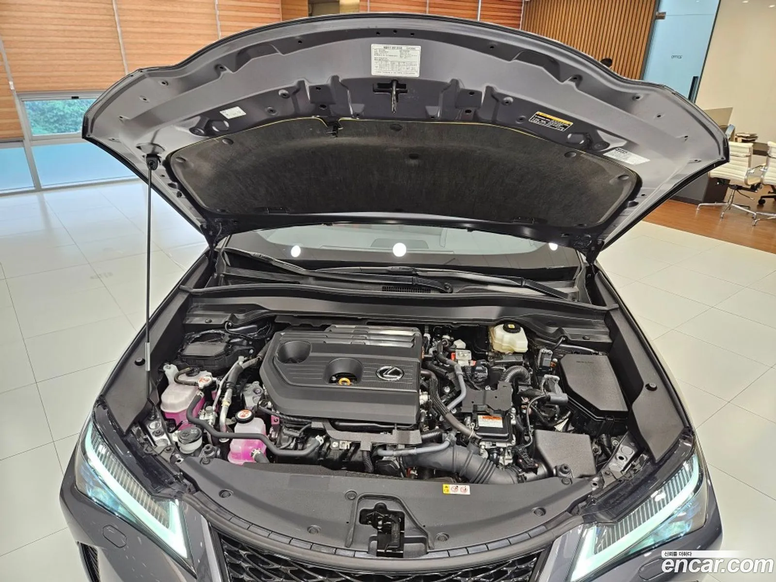 Lexus UX300h 2025 — 7