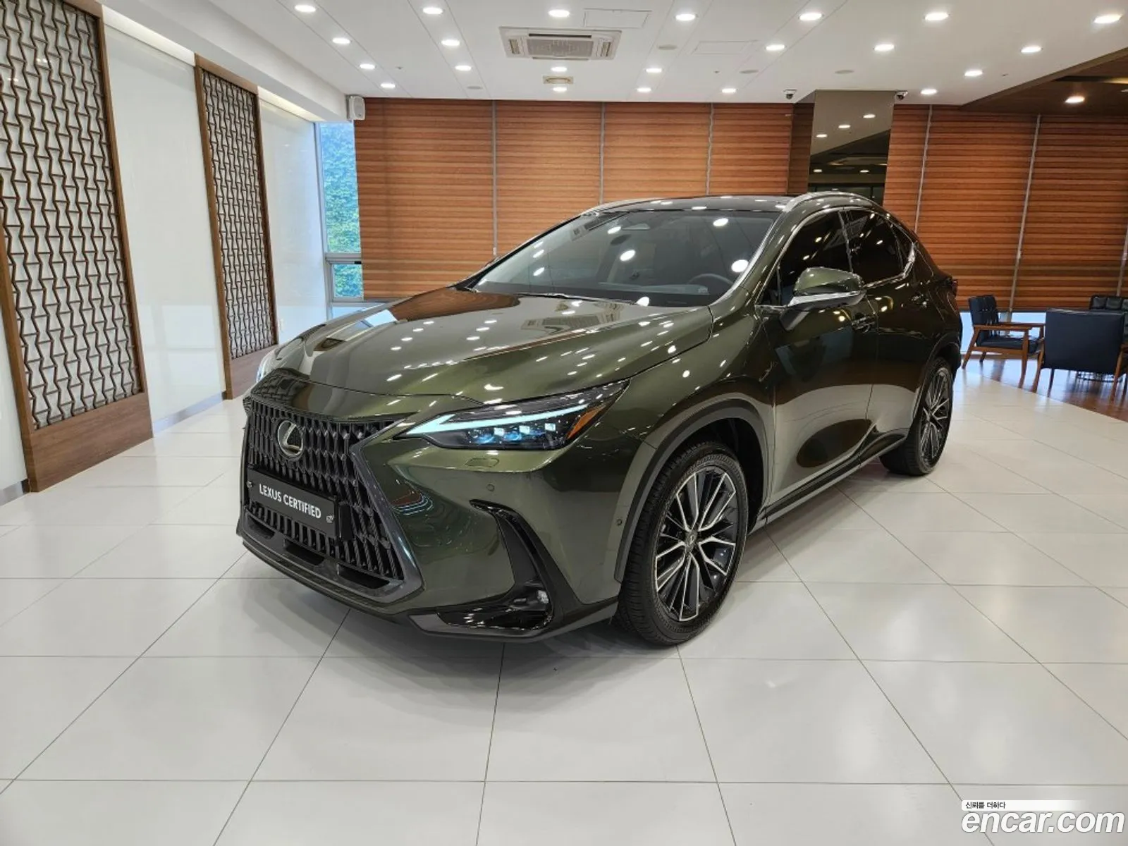 Lexus NX350h 2025 — 13