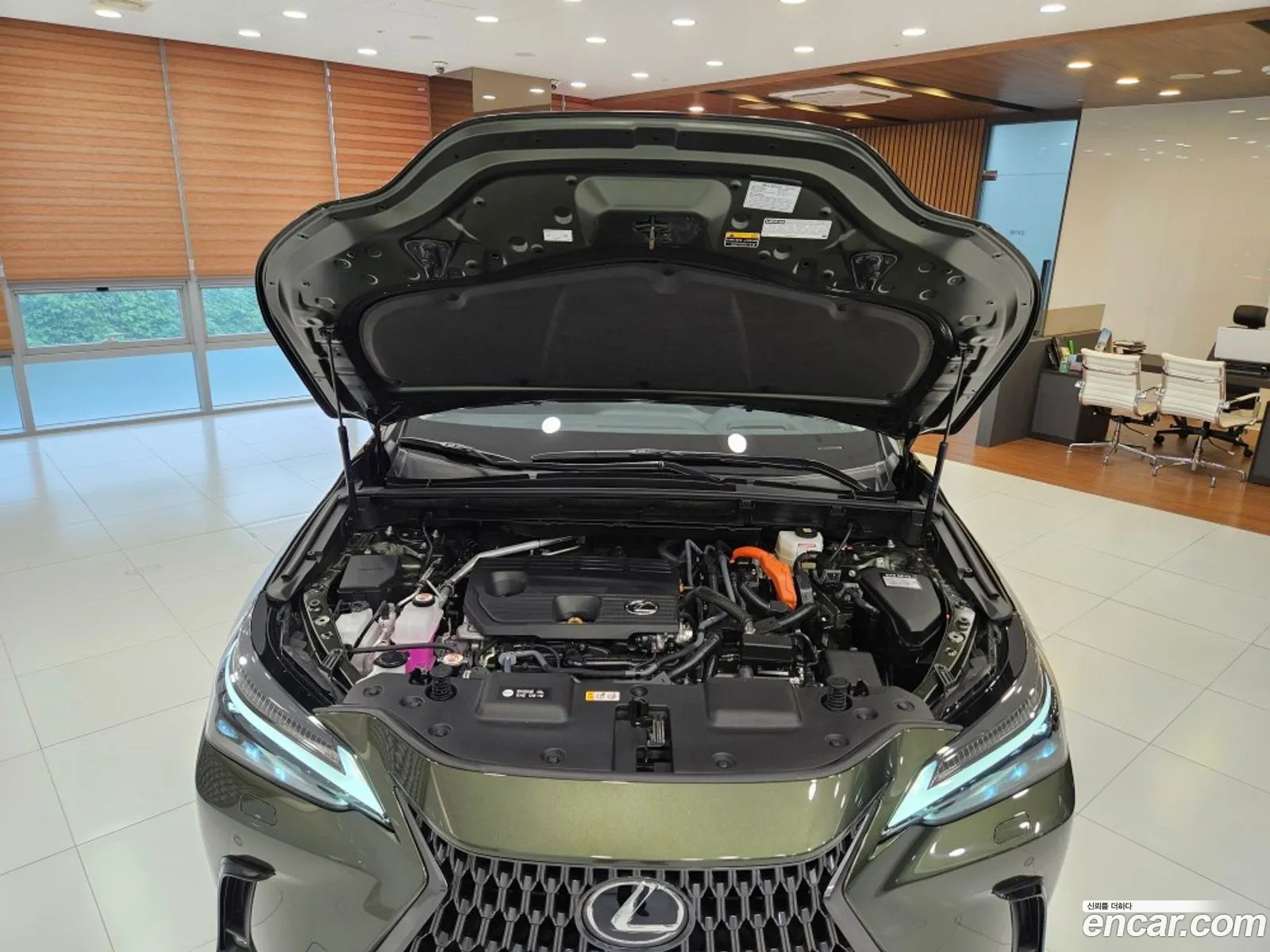 Lexus NX350h 2025 — 6