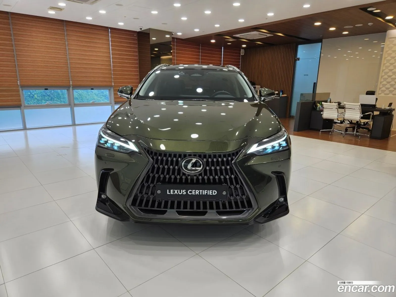Lexus NX350h 2025 — 10