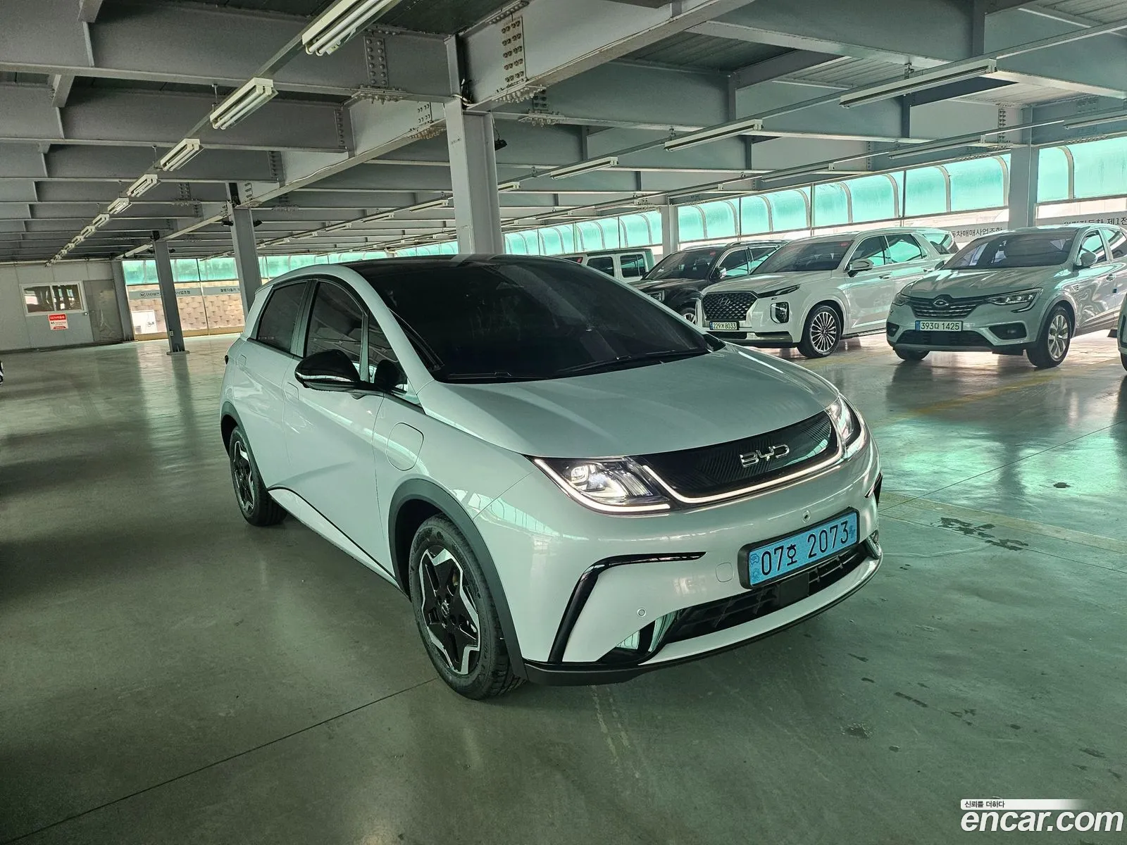 BYD Dolphin 2026 — 4