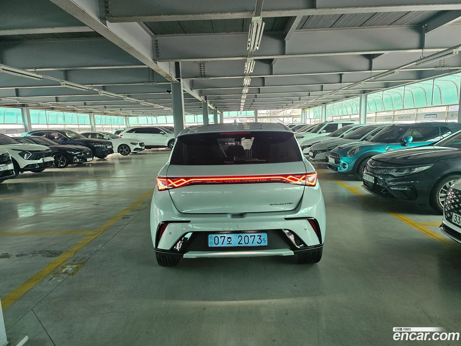BYD Dolphin 2026 — 3