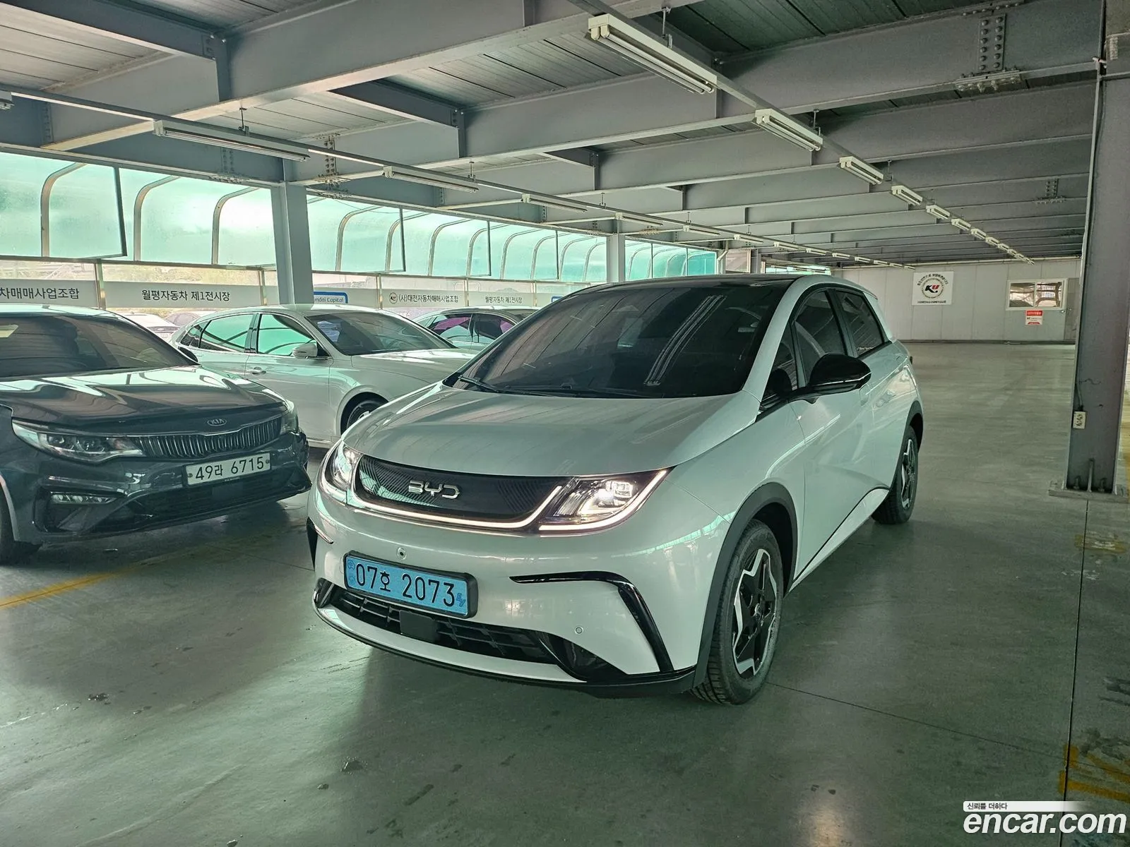 BYD Dolphin