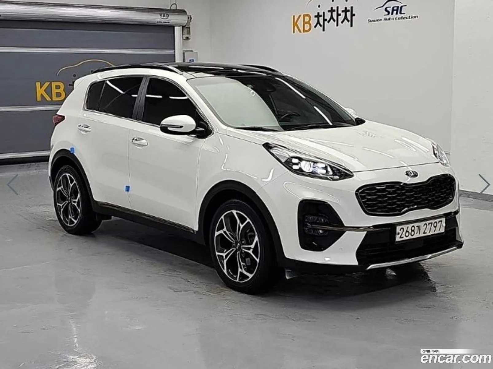 Kia Sportage the Bold
