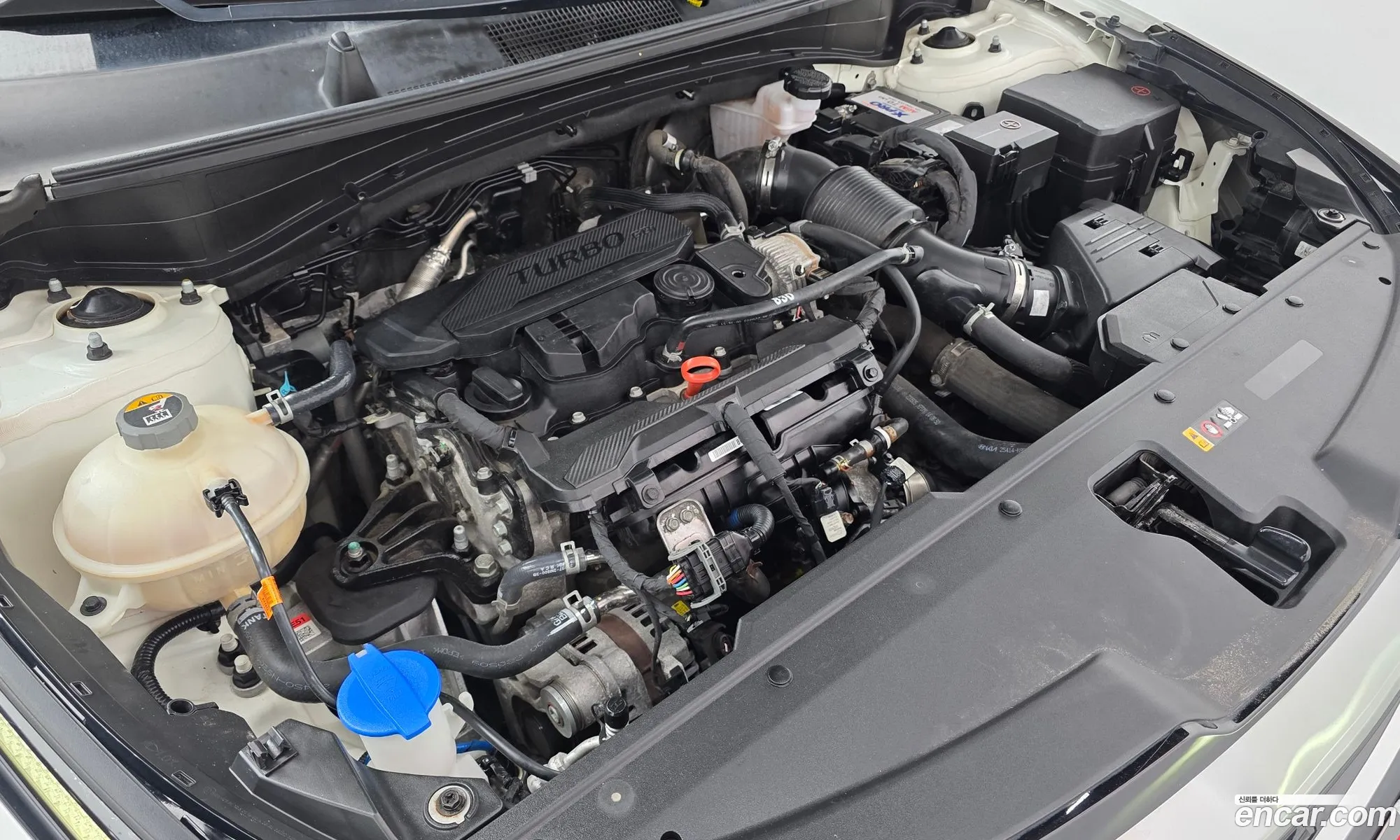 Kia Sportage 2022 KNAPT81BGNK078430 — 11