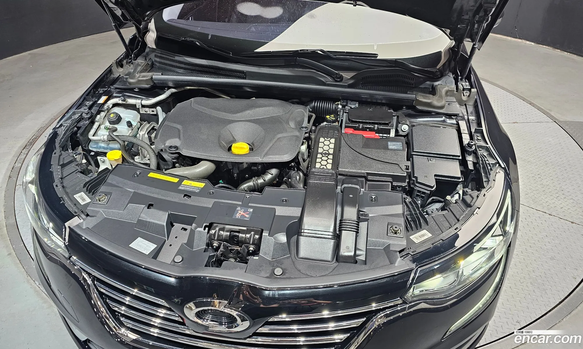 Renault Korea (Samsung) SM6 2017 — 26