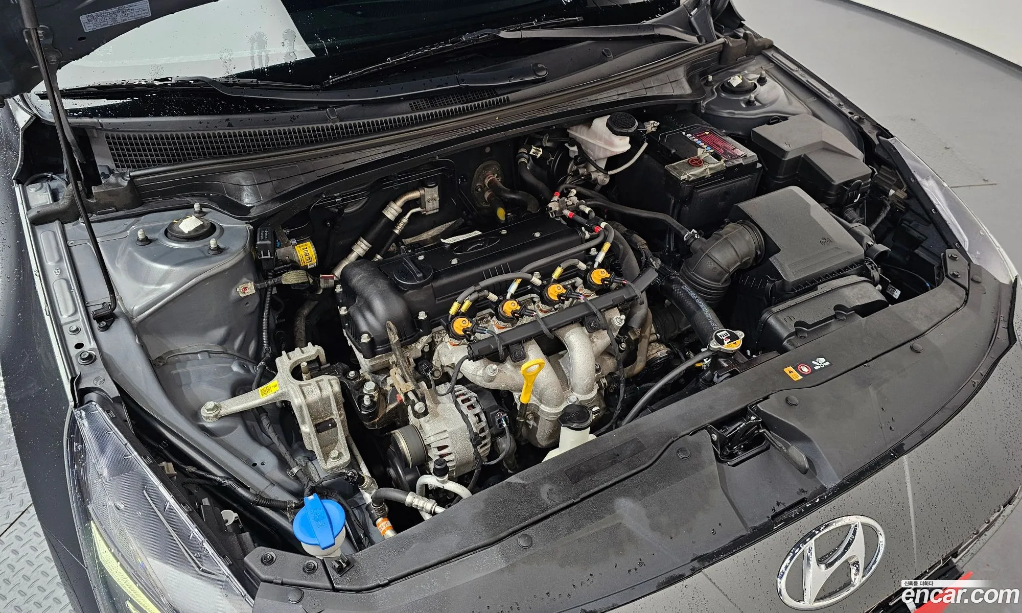 Hyundai Elantra 2022 KMHLM41ABNU312466 — 2