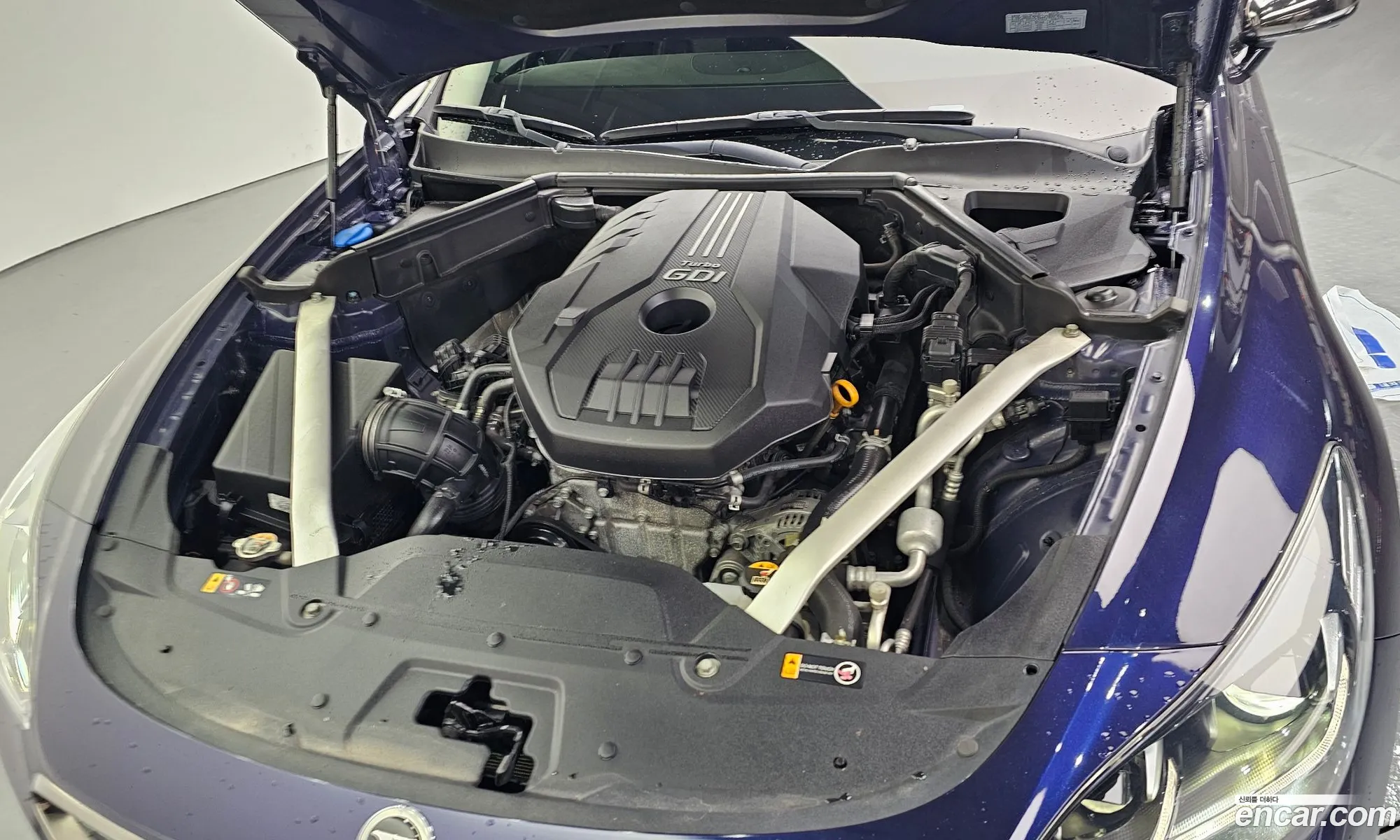 Kia Stinger 2017 KNAE351ABJS002906 — 15